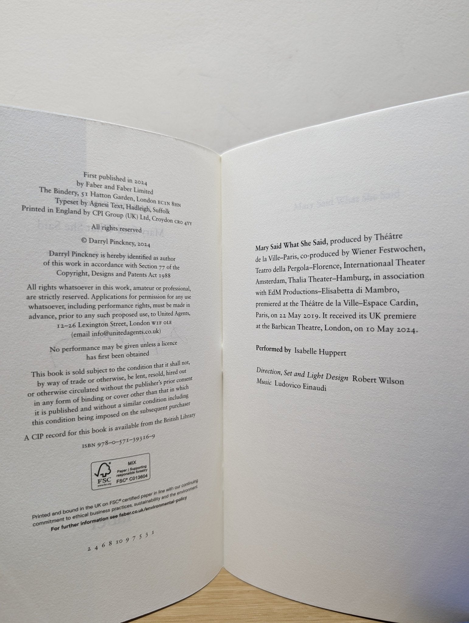 Mary Said What She Said by Darryl Pinckney (Signed First Edition) - Fialta Books