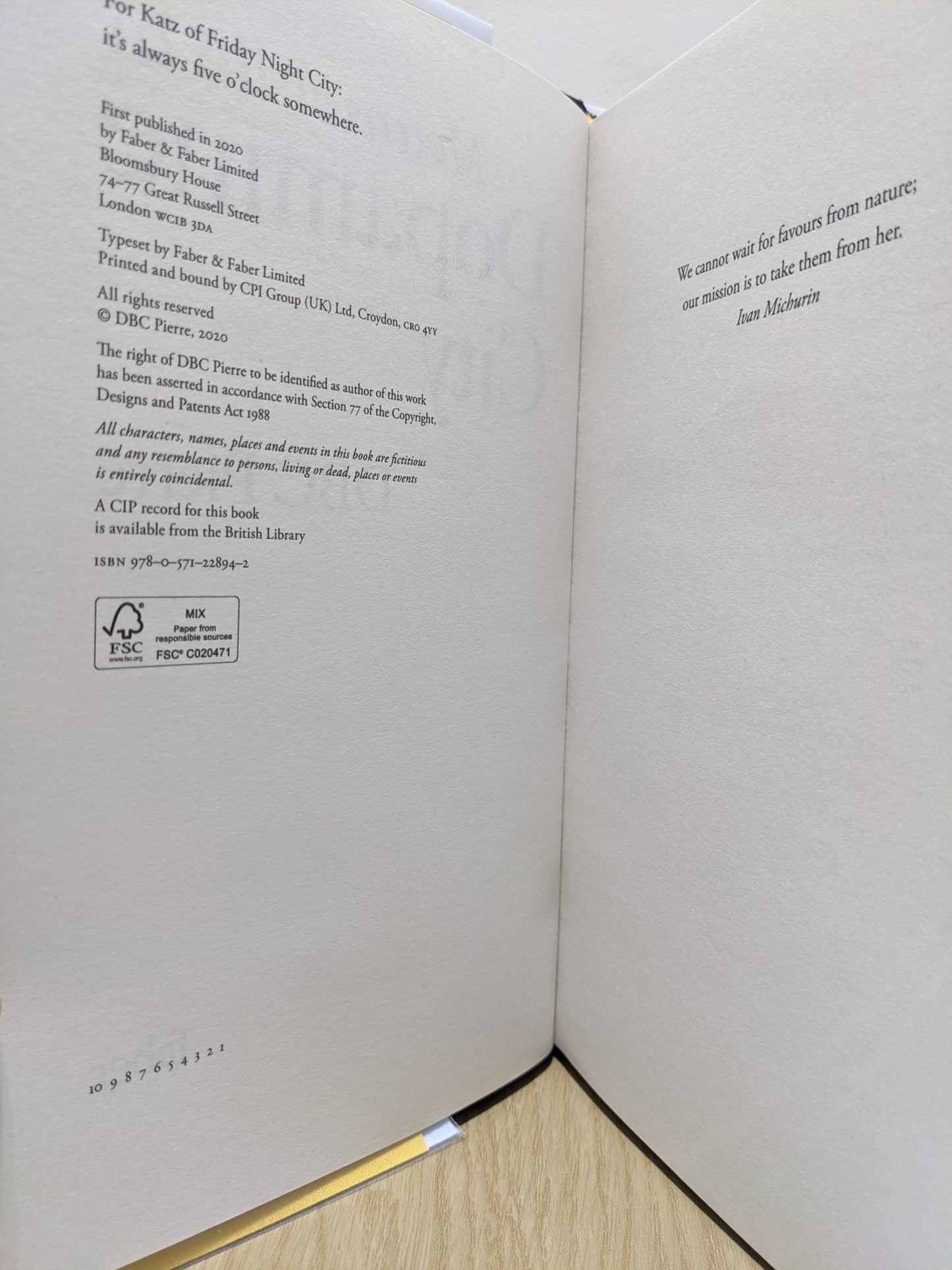 Meanwhile in Dopamine City by DBC Pierre - Fialta Books