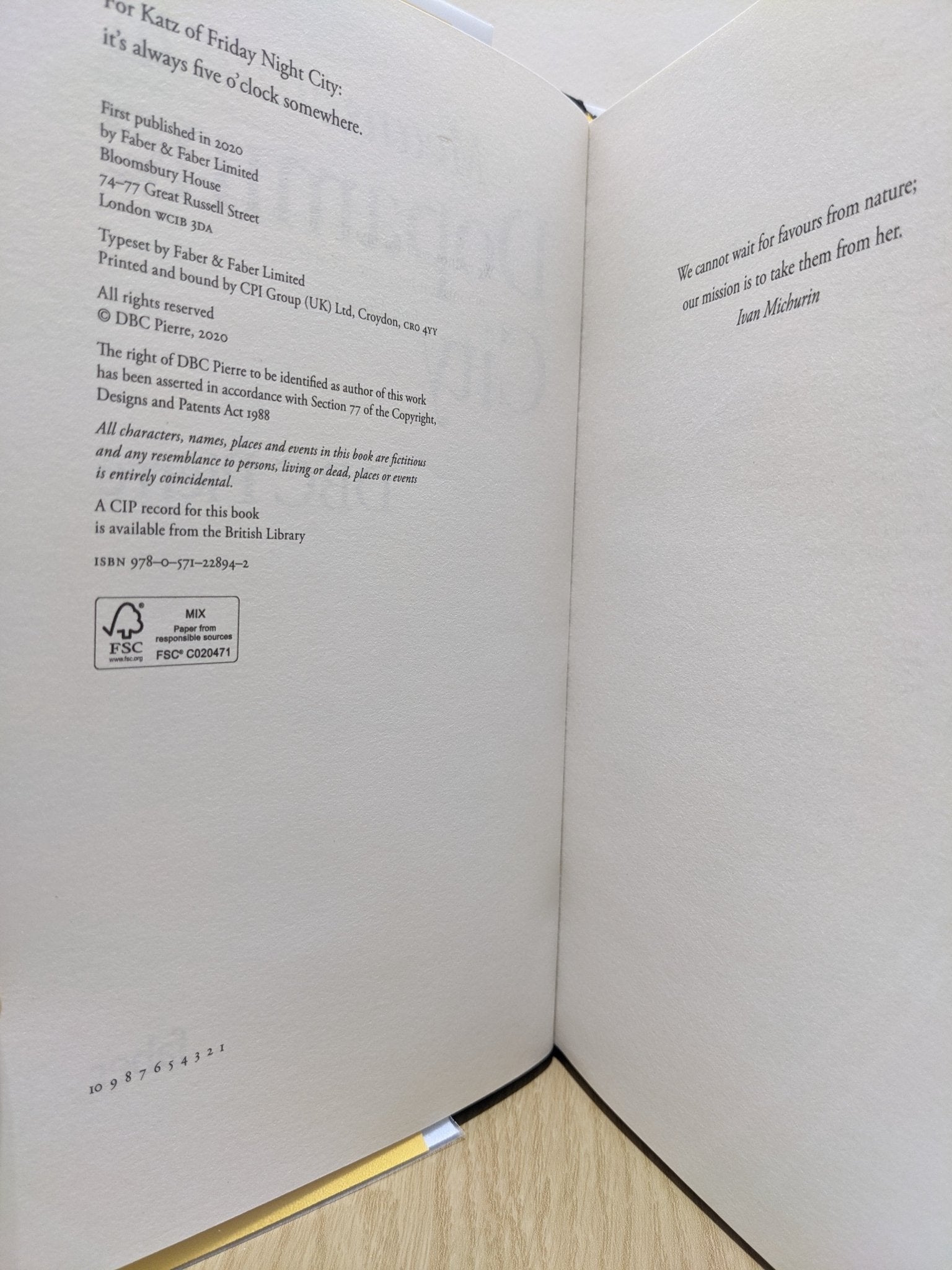 Meanwhile in Dopamine City by DBC Pierre - Fialta Books