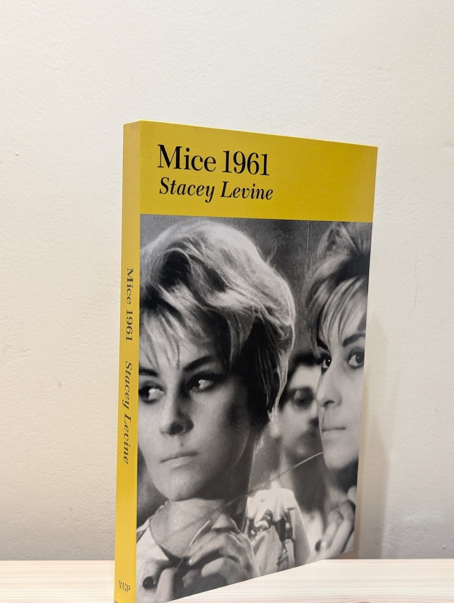 Mice 1961: A Novel by Stacey Levine (First Edition) - Fialta Books