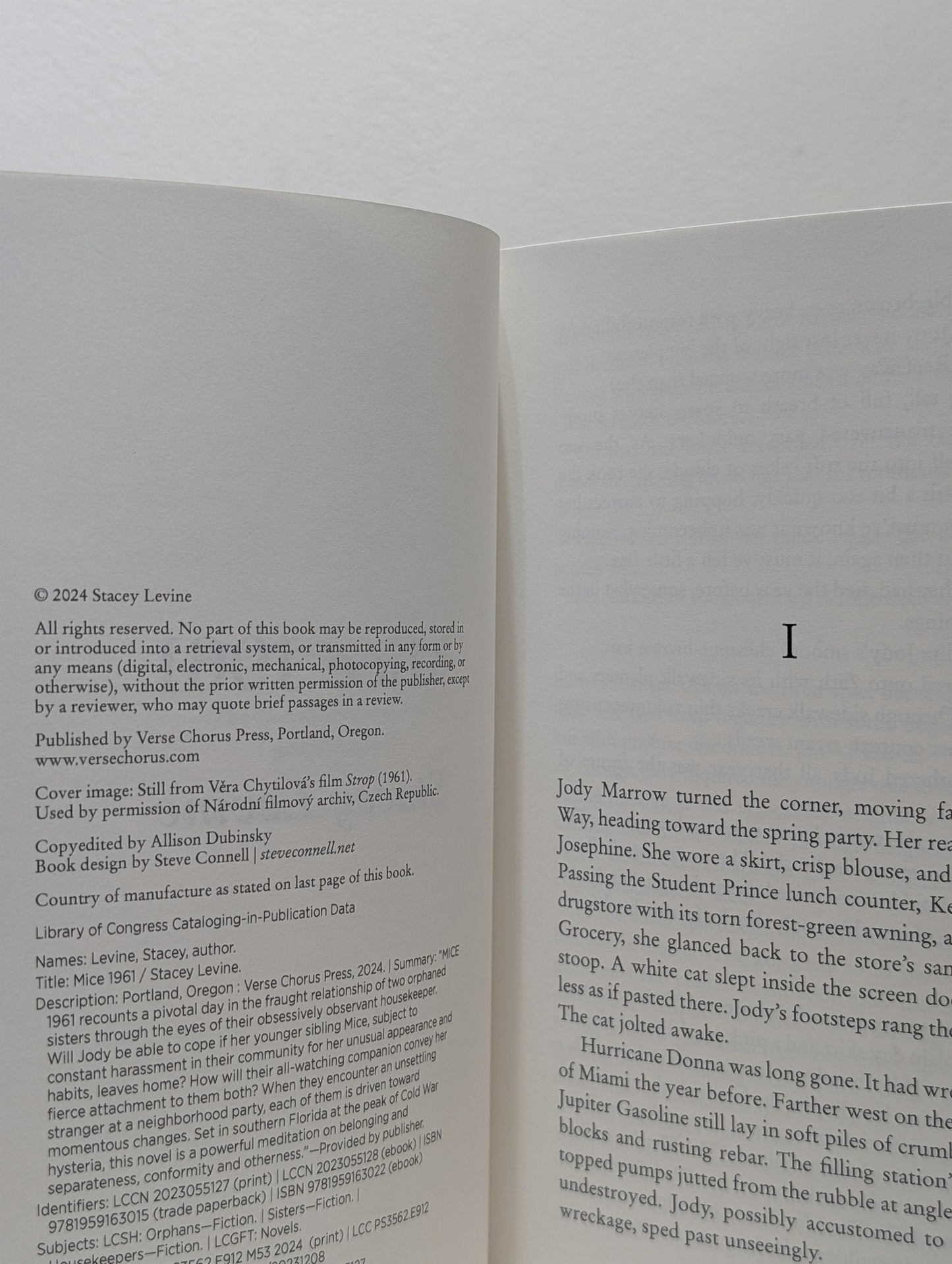 Mice 1961: A Novel by Stacey Levine (First Edition) - Fialta Books