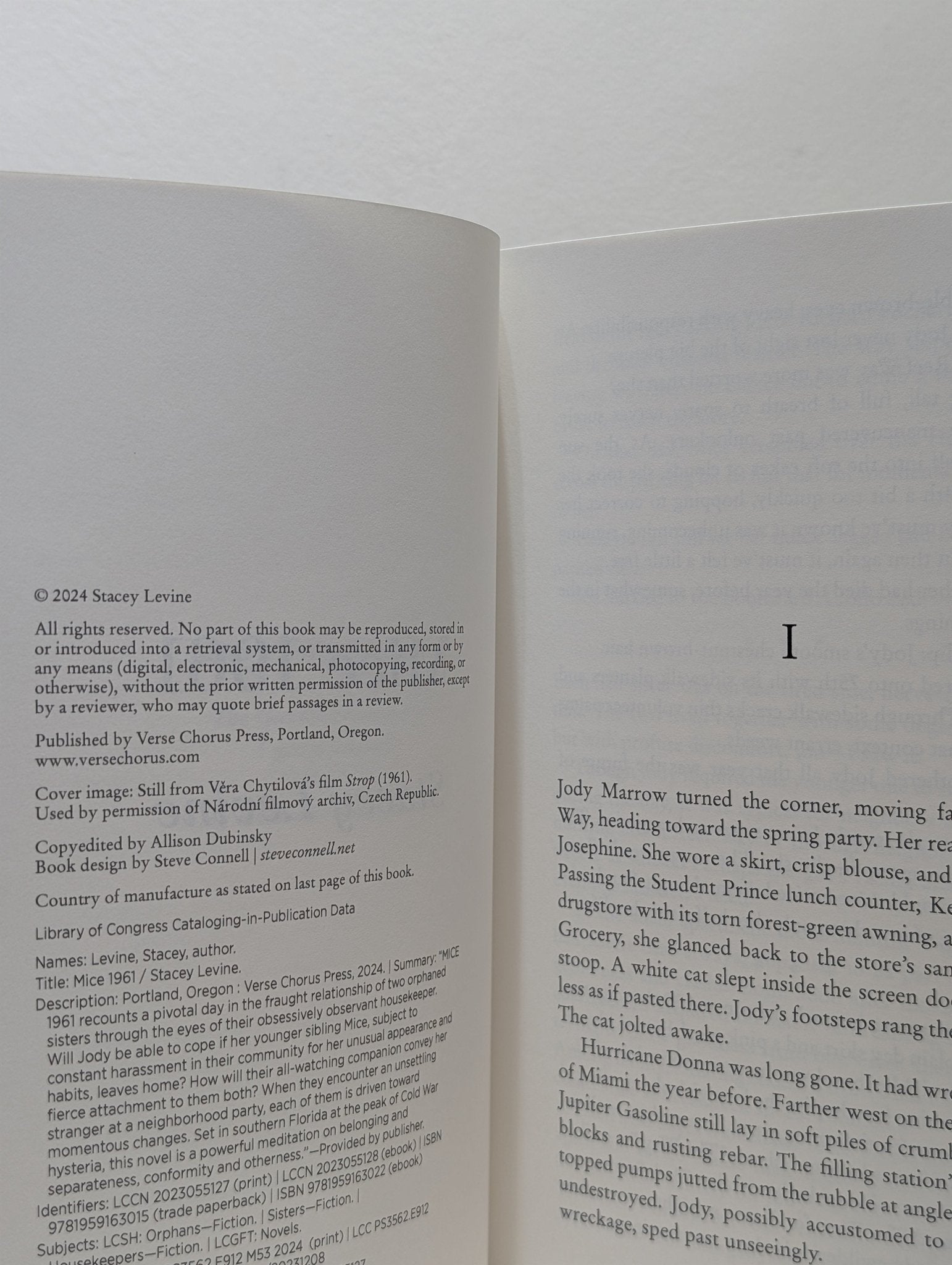 Mice 1961: A Novel by Stacey Levine (First Edition) - Fialta Books