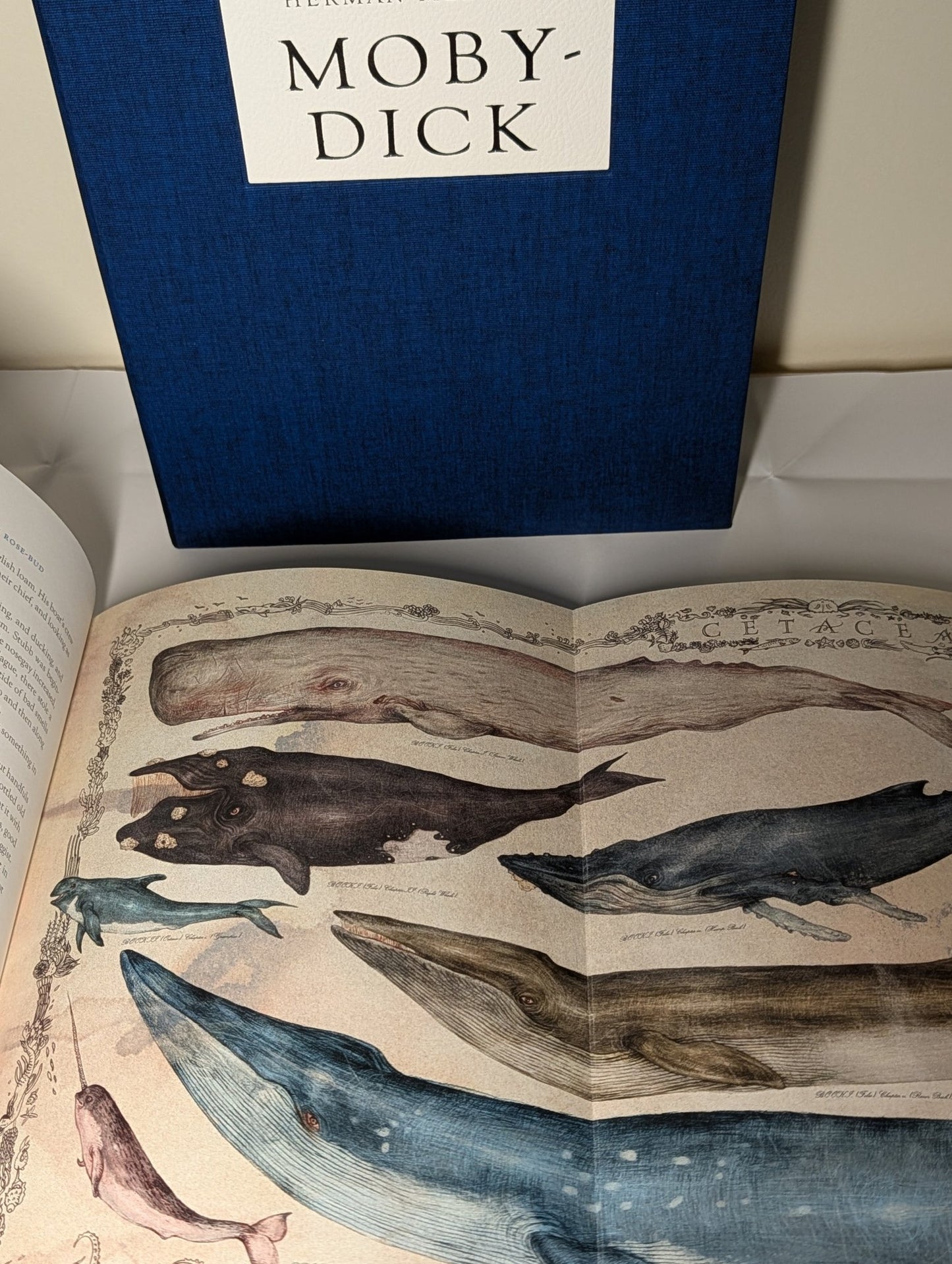 Moby-Dick by Herman Melville (Folio Limited Edition) - Fialta Books