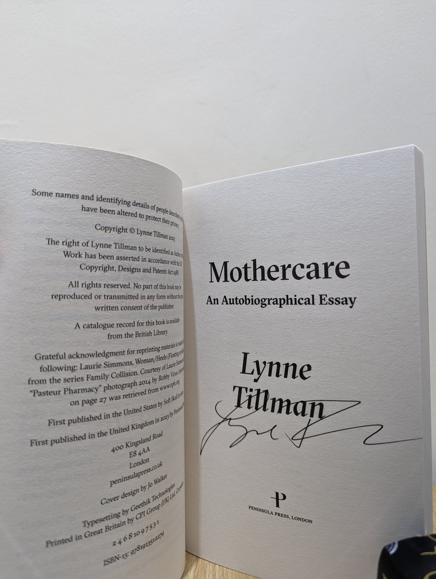 Mothercare by Lynne Tillman (Signed First Edition) - Fialta Books