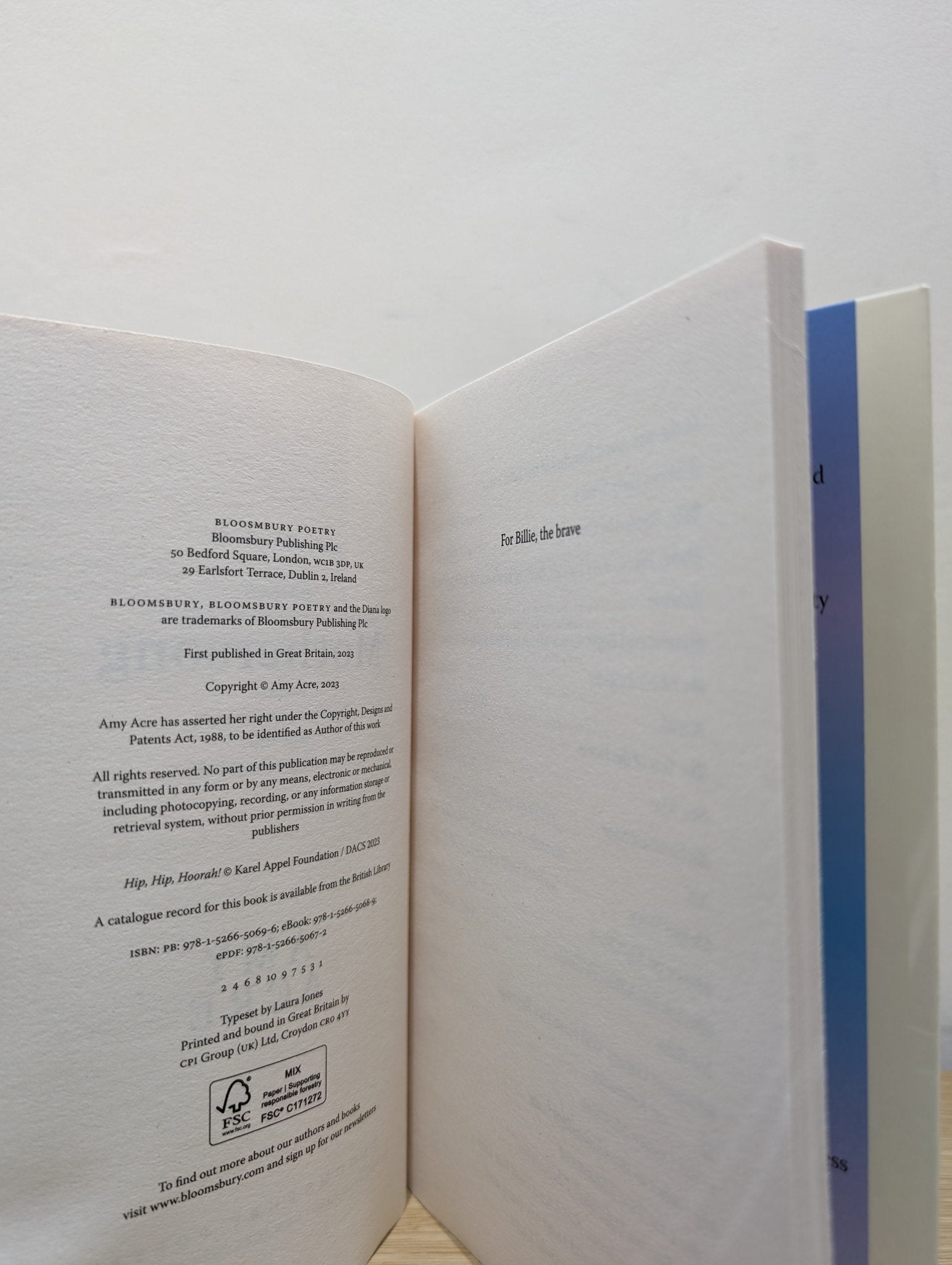 Mothersong by Amy Acre (Signed First Edition) - Fialta Books