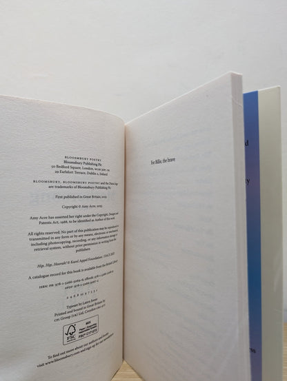 Mothersong by Amy Acre (Signed First Edition) - Fialta Books