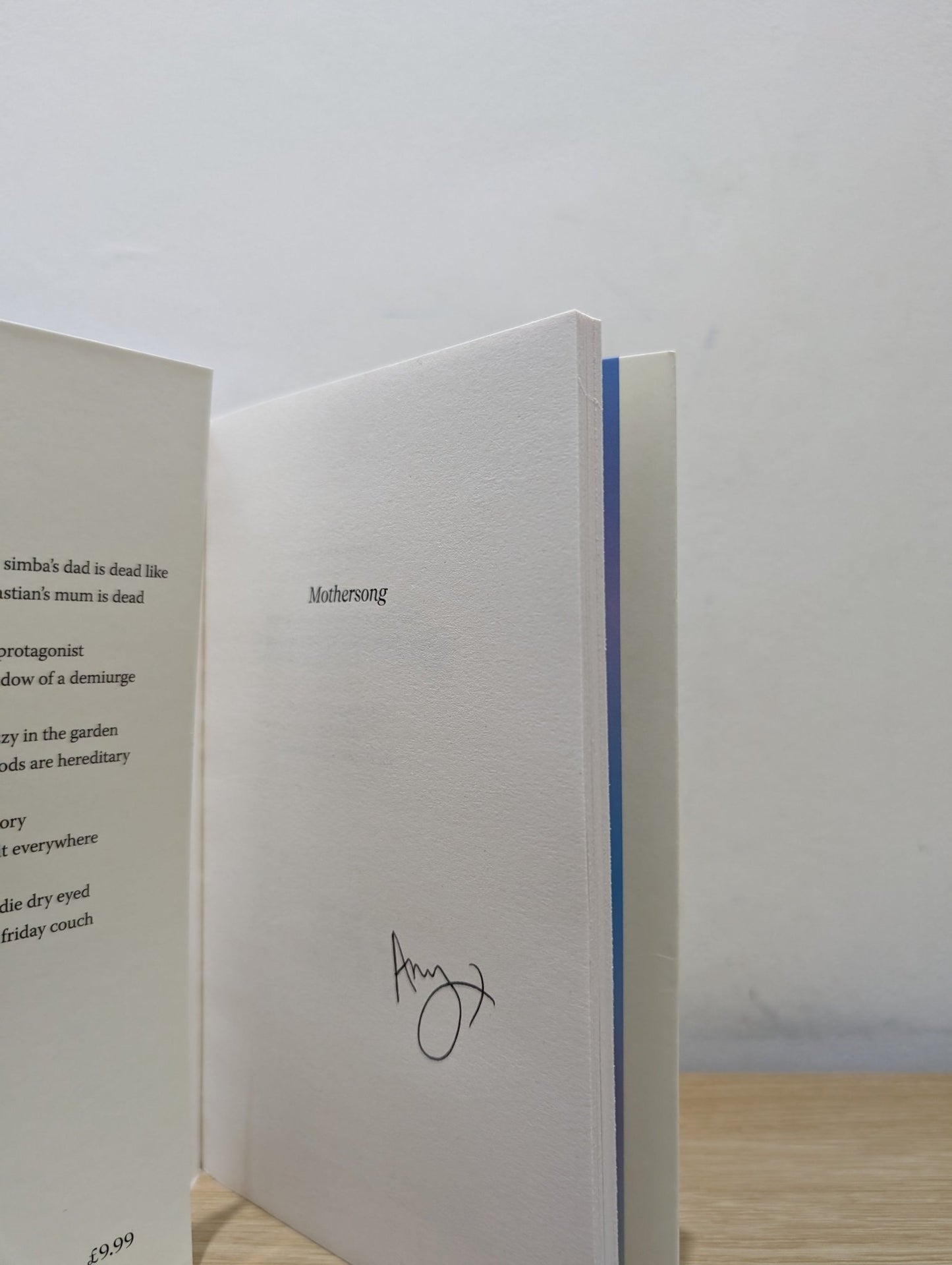 Mothersong by Amy Acre (Signed First Edition) - Fialta Books