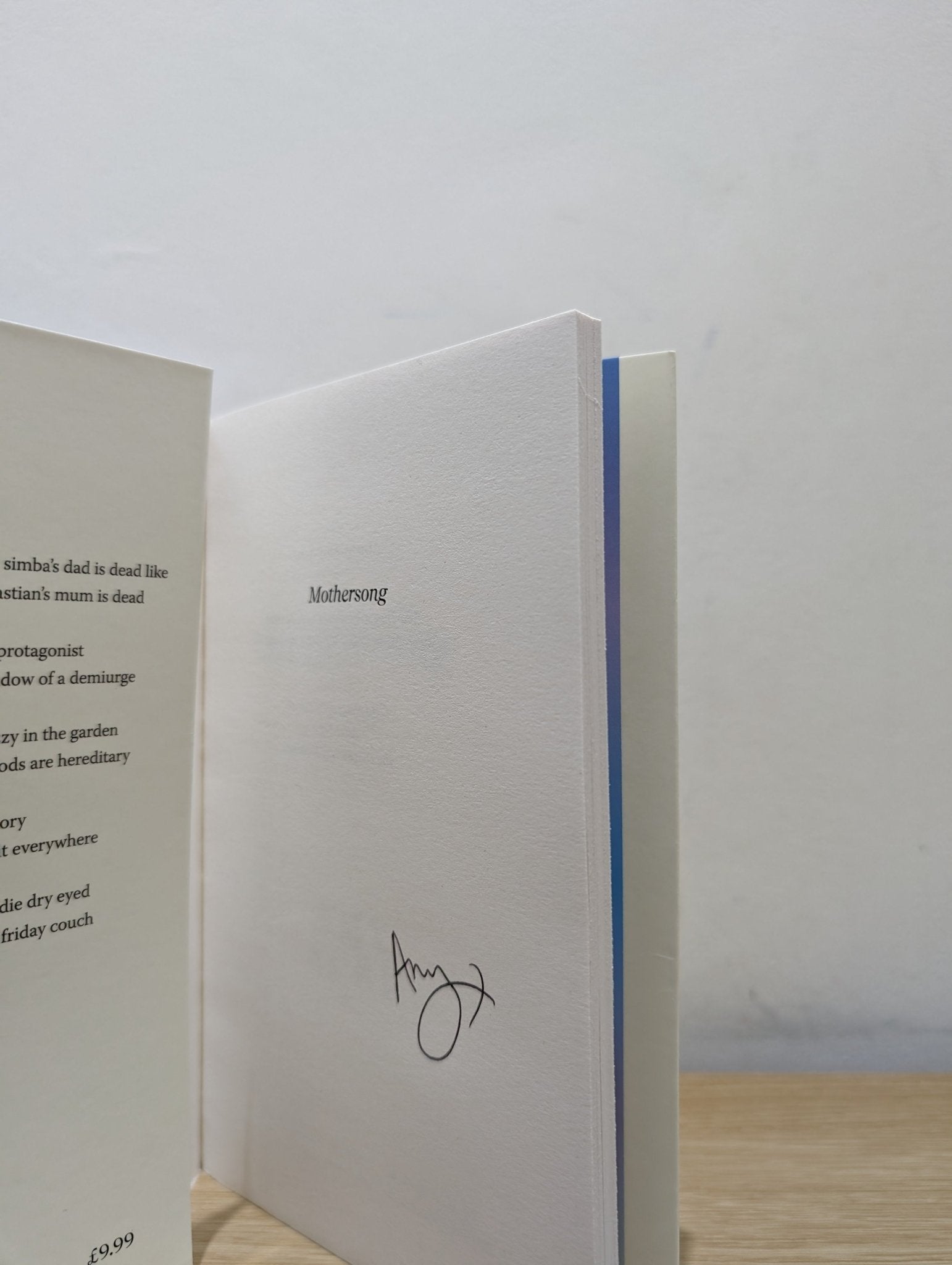 Mothersong by Amy Acre (Signed First Edition) - Fialta Books