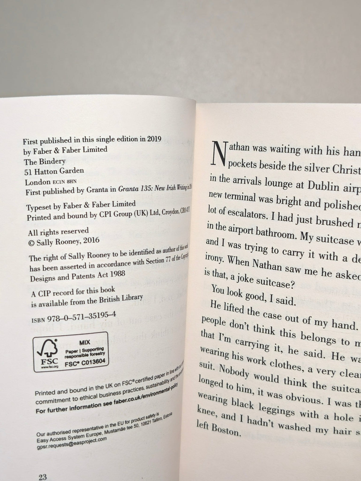Mr Salary by Sally Rooney - Fialta Books