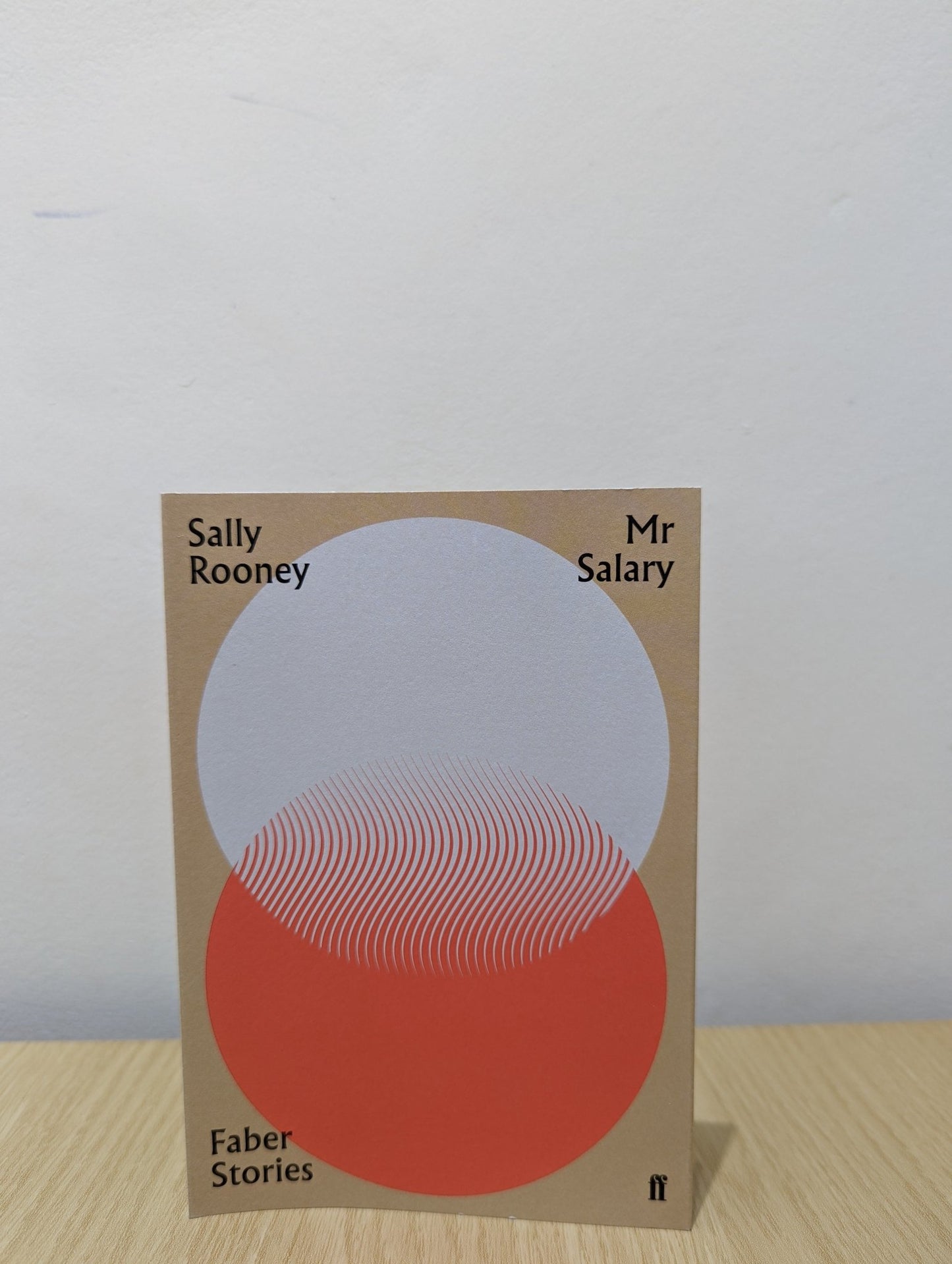 Mr Salary by Sally Rooney - Fialta Books
