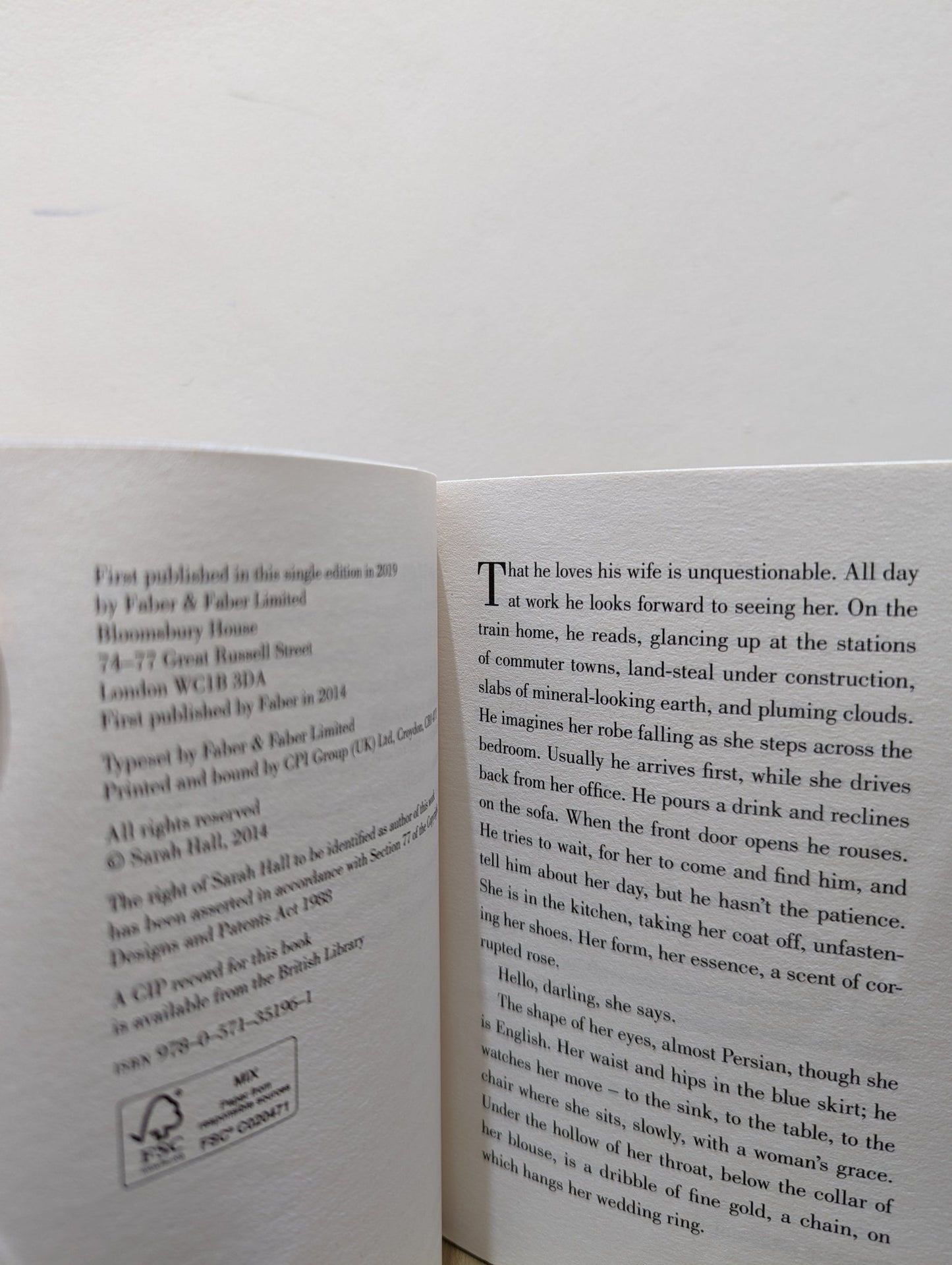 Mrs Fox by Sarah Hall - Fialta Books