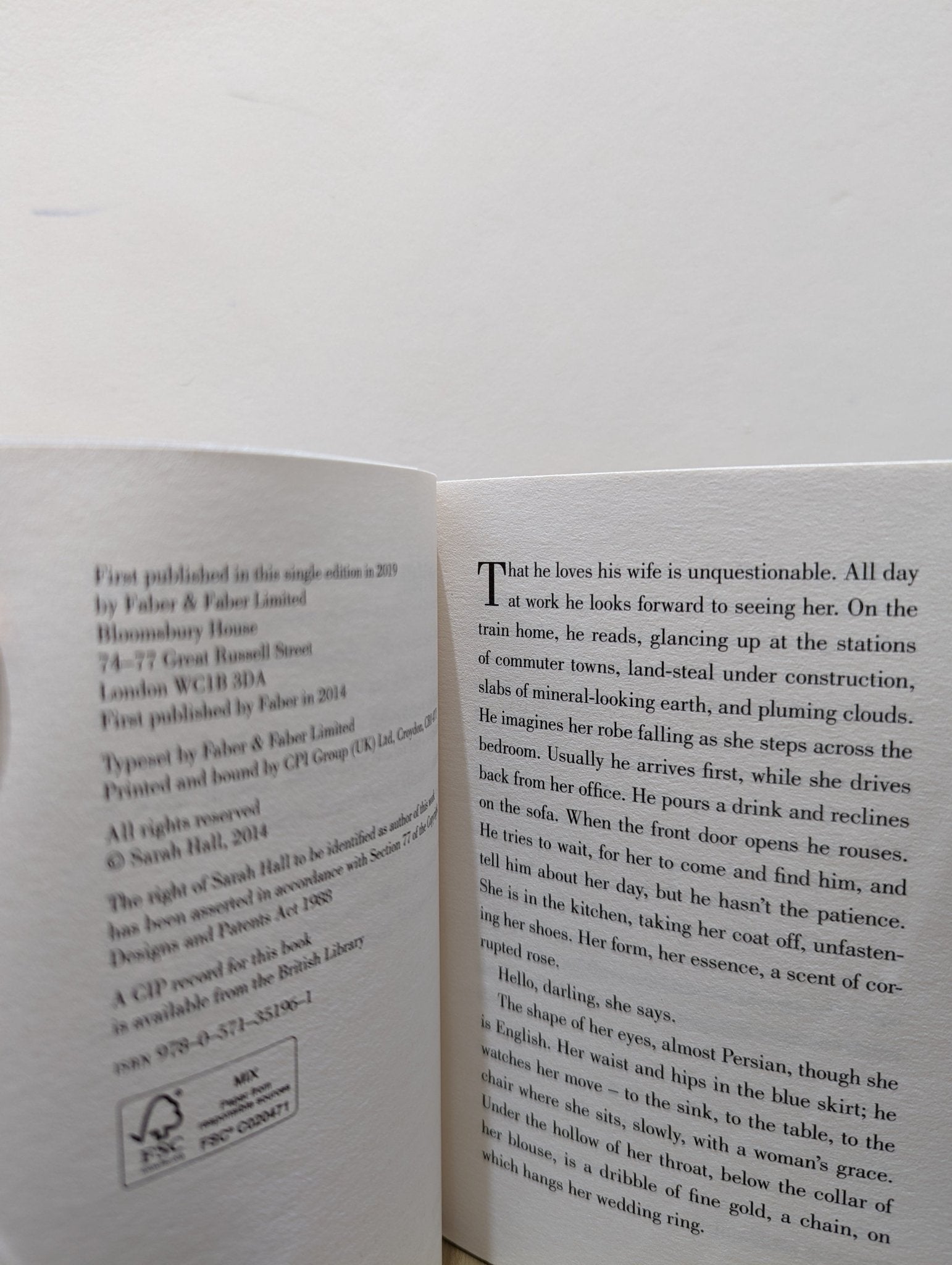 Mrs Fox by Sarah Hall - Fialta Books