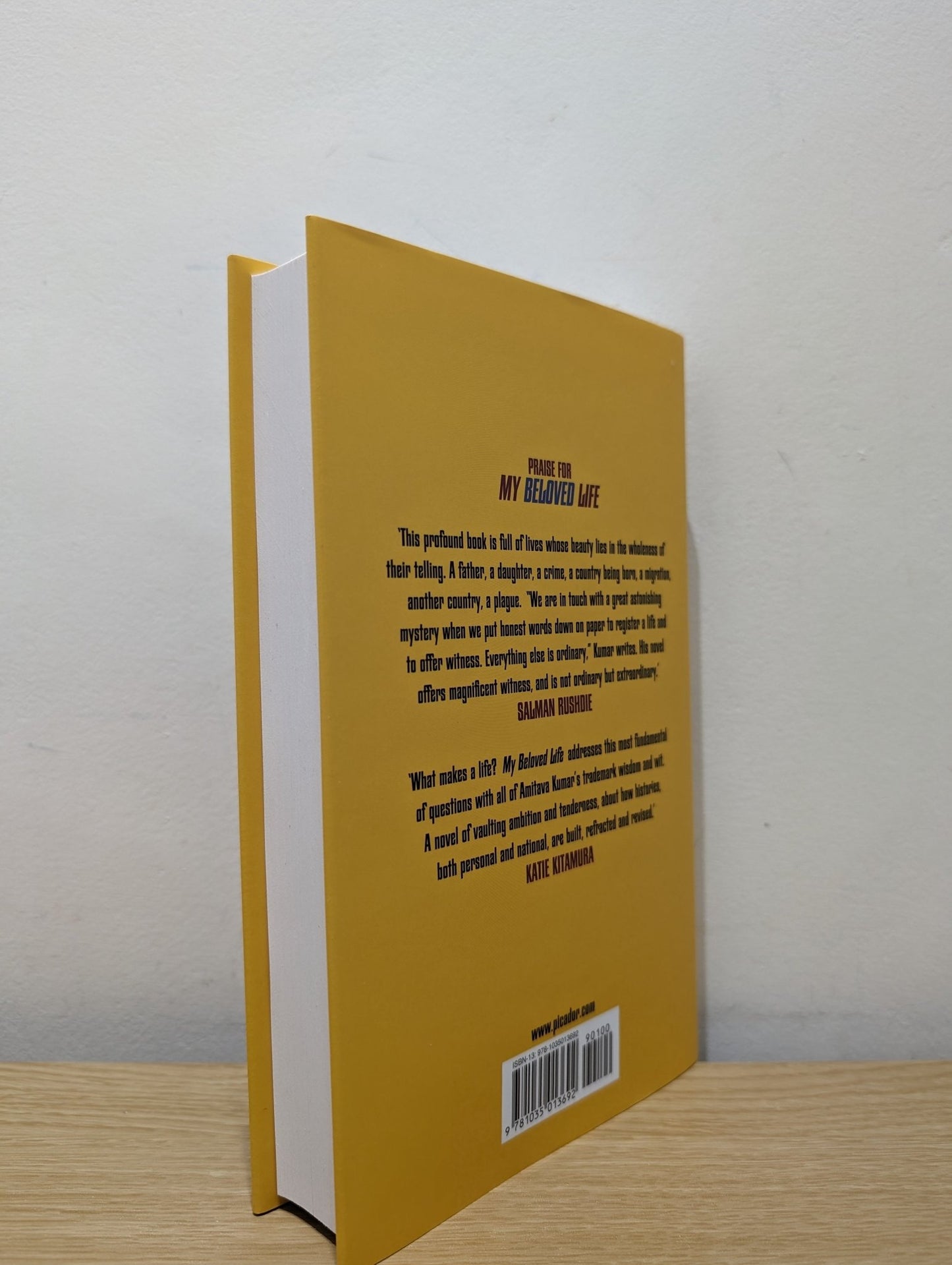 My Beloved Life by Amitava Kumar (Signed First Edition) - Fialta Books