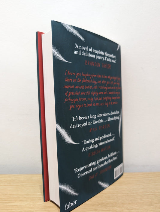 My Heavenly Favourite by Lucas Rijneveld (Signed First Edition) - Fialta Books