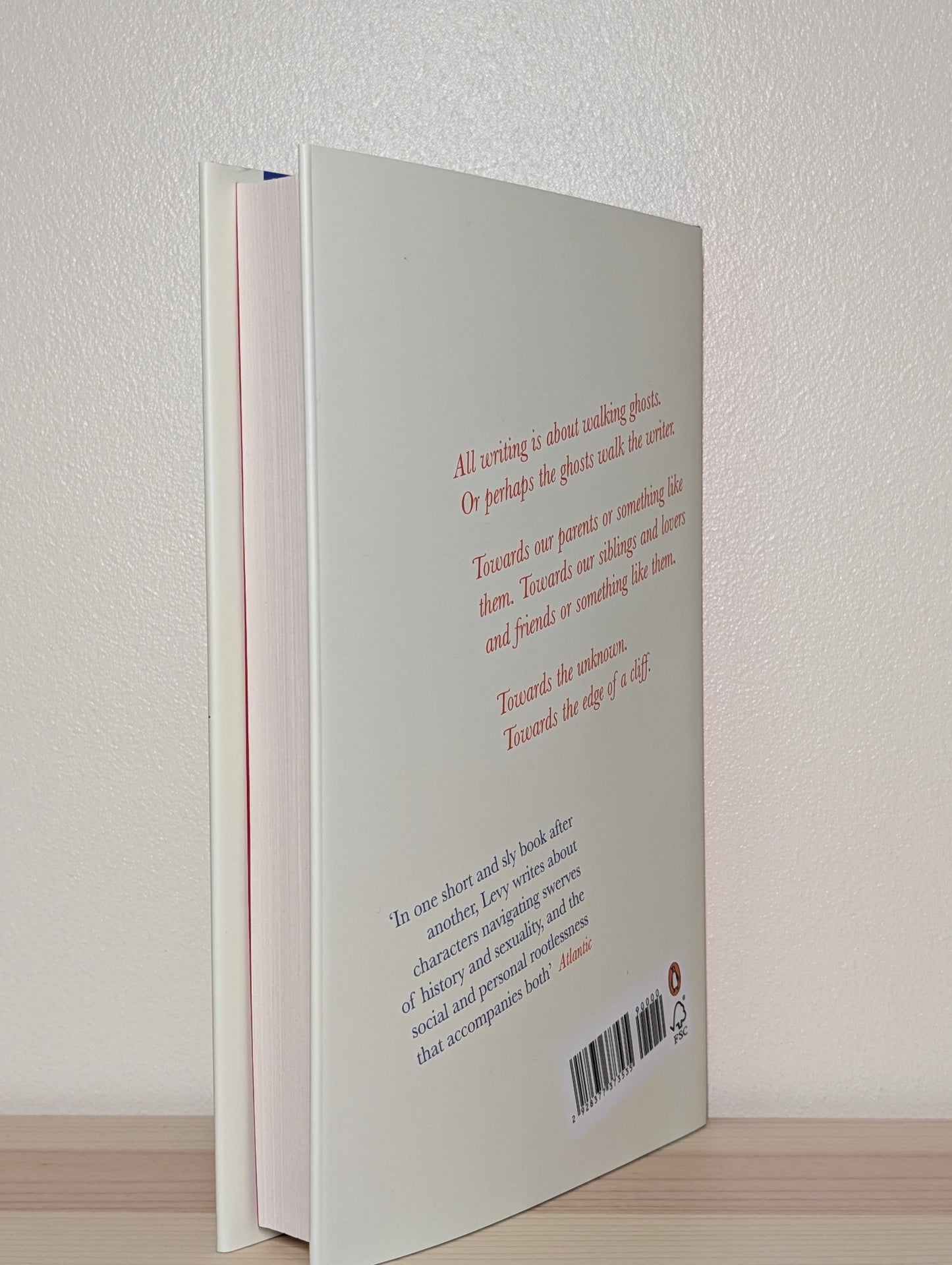 My Year in Paris with Gertrude Stein by Deborah Levy (Signed First Edition) - Fialta Books
