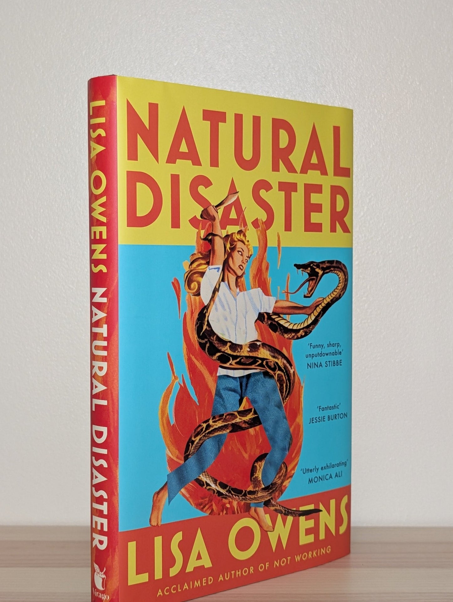 Natural Disaster by Lisa Owens (Signed First Edition) - Fialta Books