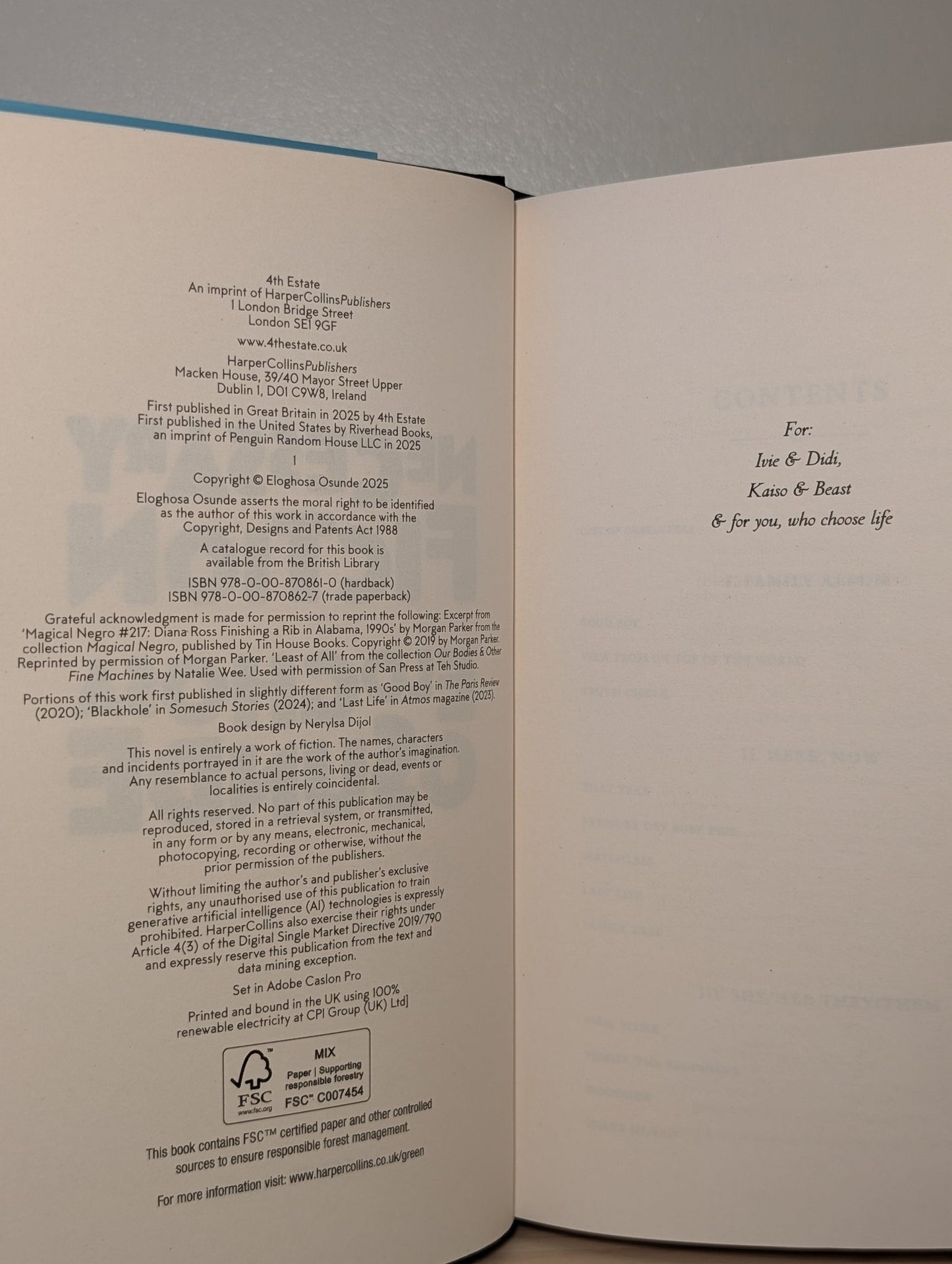 Necessary Fiction by Eloghosa Osunde (Signed First Edition) - Fialta Books