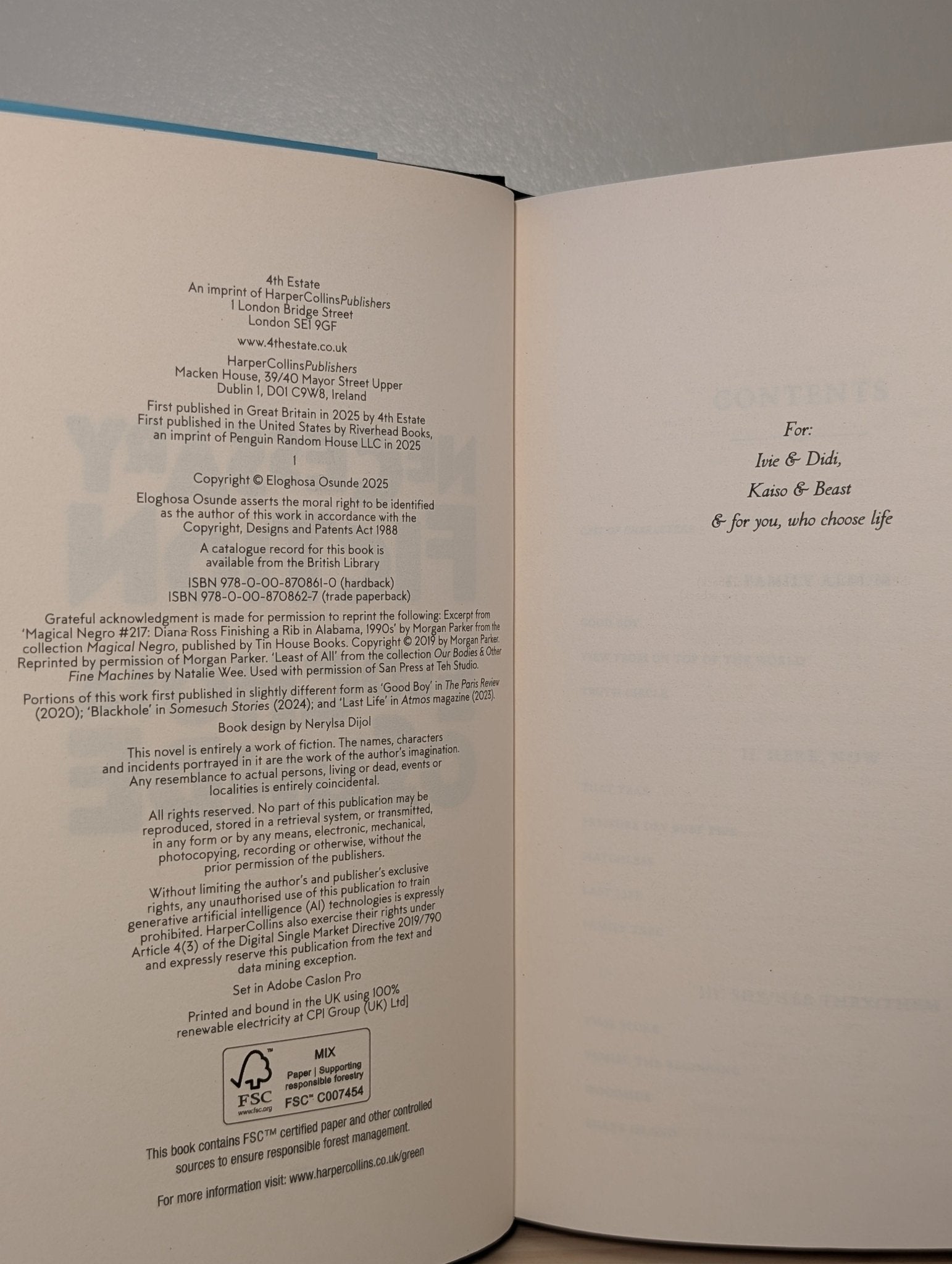 Necessary Fiction by Eloghosa Osunde (Signed First Edition) - Fialta Books