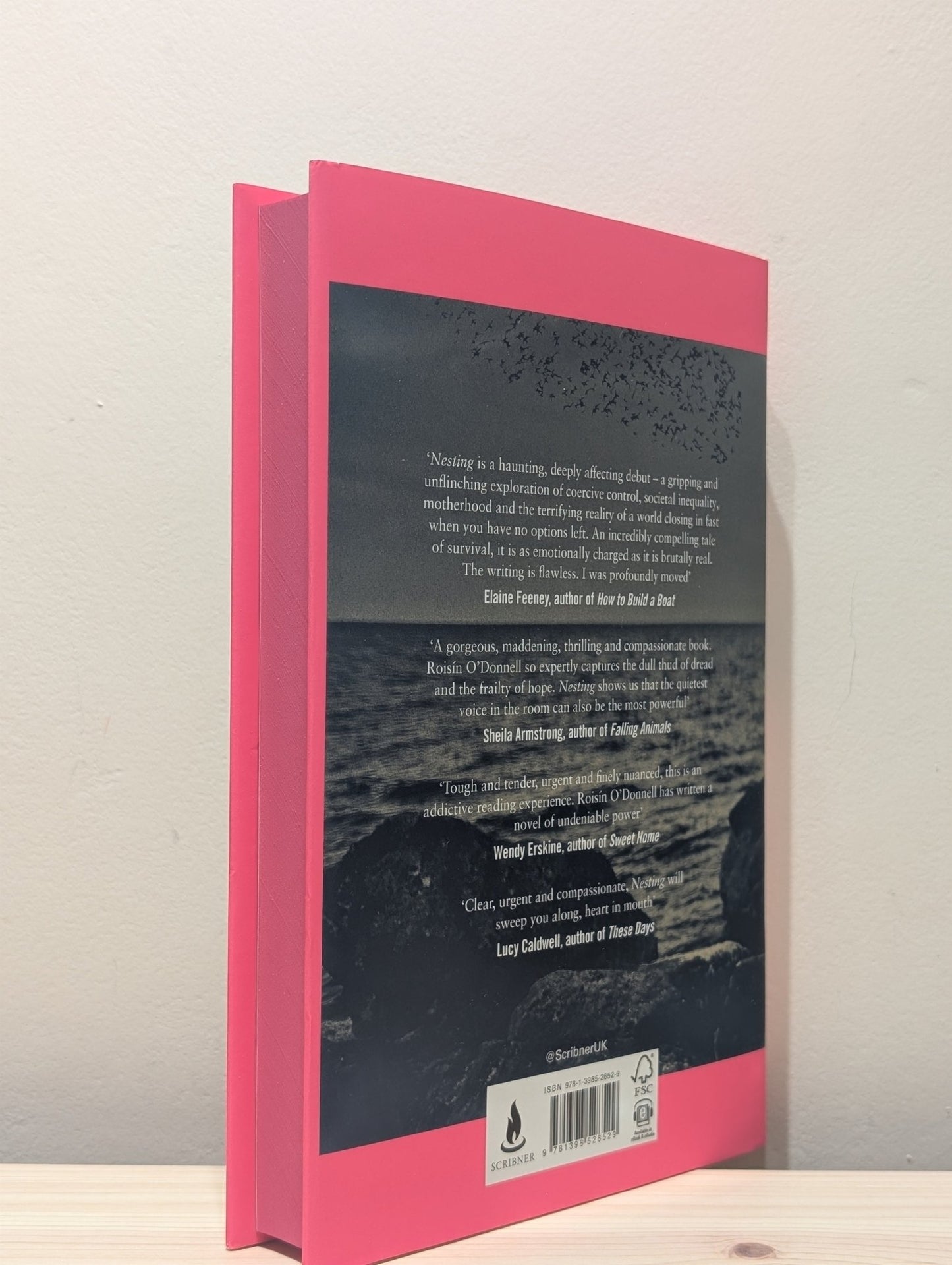 Nesting by Roisin O'Donnell (Signed First Edition with sprayed edges) - Fialta Books