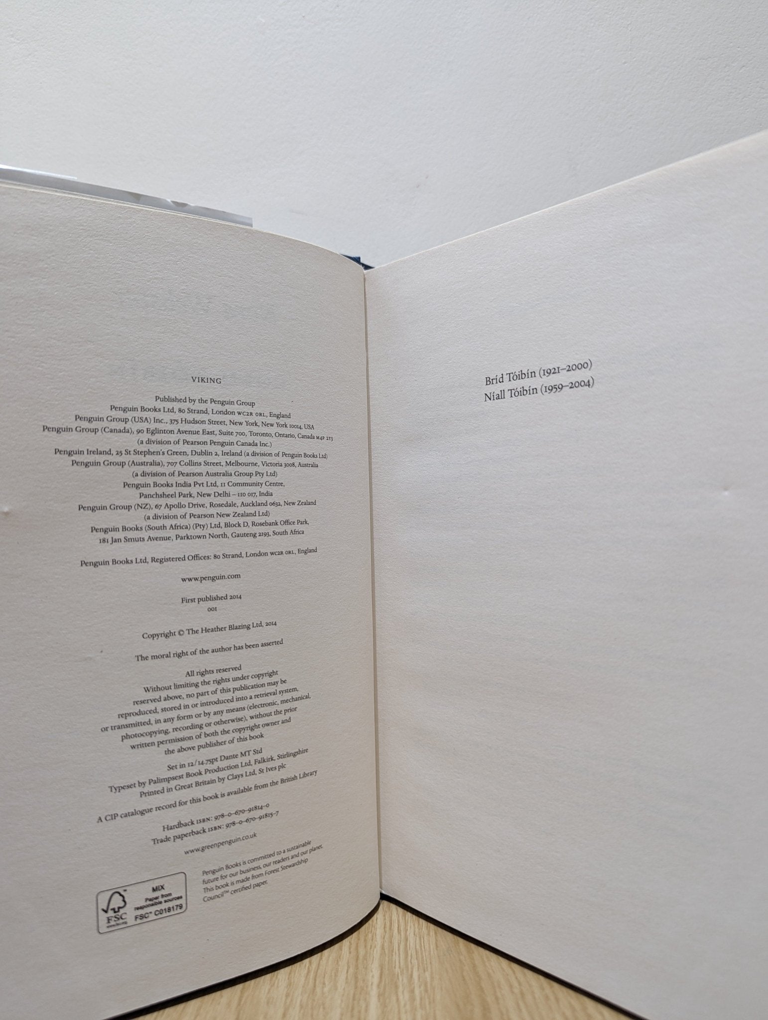 Nora Webster by Colm Tóibín (First Edition) - Fialta Books