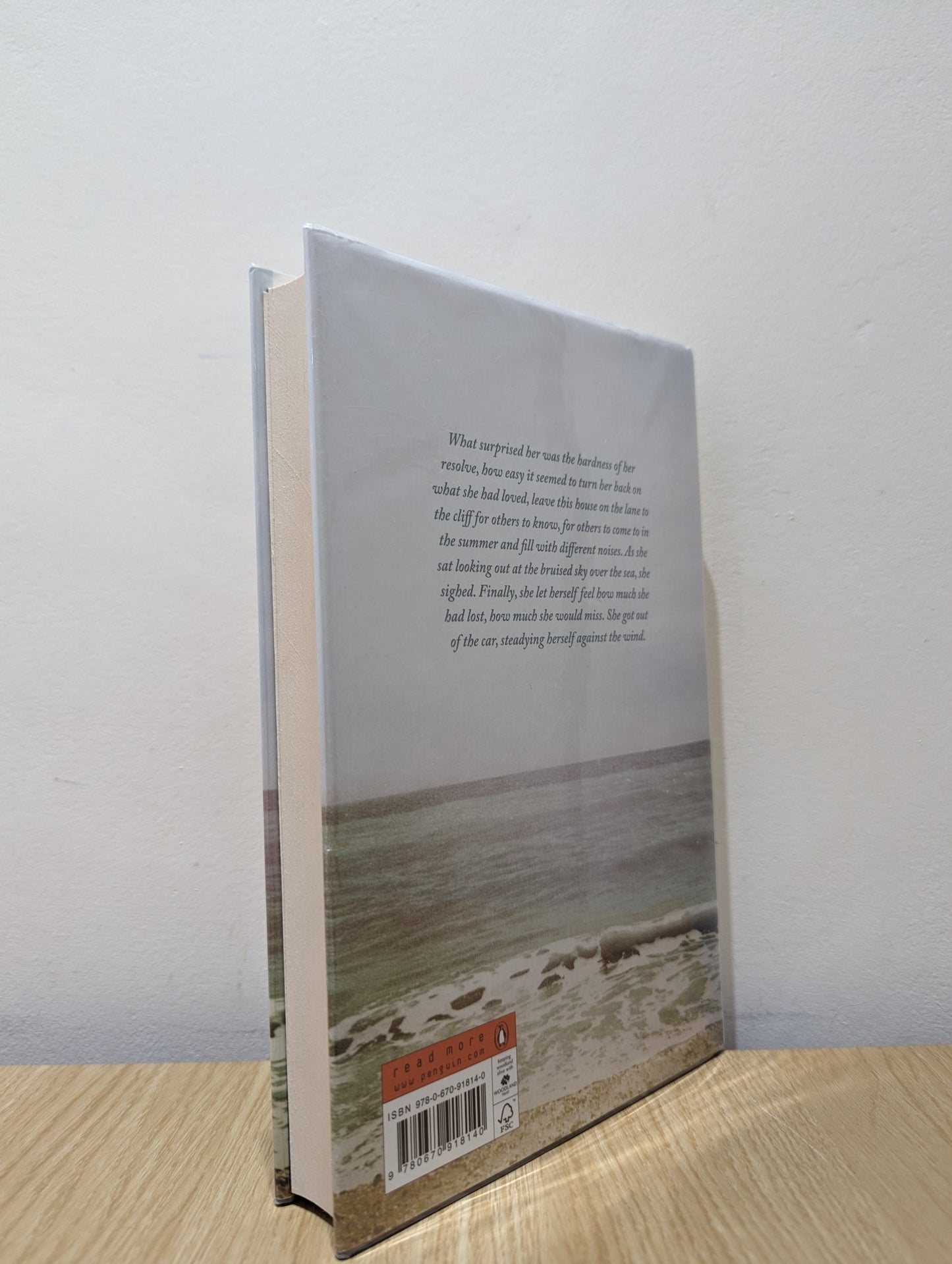 Nora Webster by Colm Tóibín (First Edition) - Fialta Books