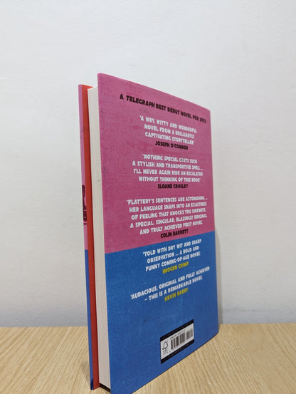 Nothing Special by Nicole Flattery (Signed Dated First Edition) - Fialta Books