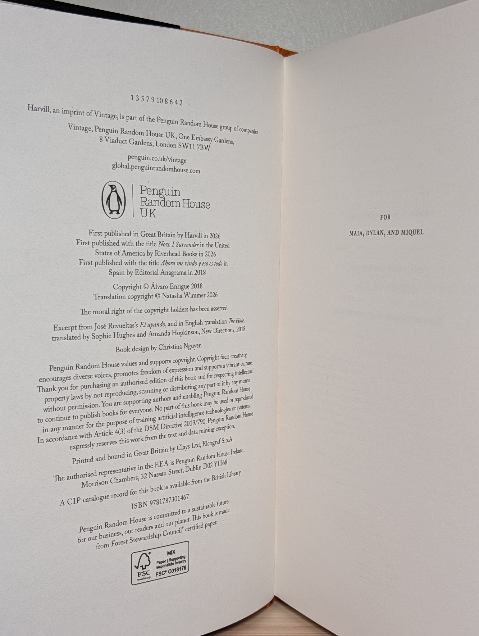 Now I Surrender by Alvaro Enrigue (First Edition) - Fialta Books