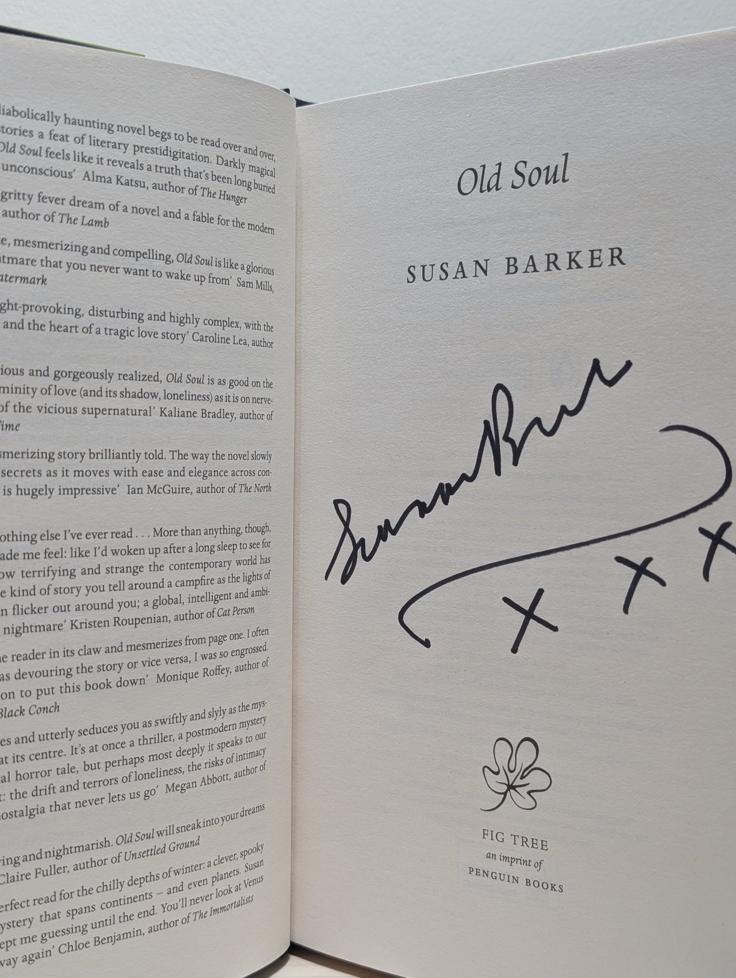 Old Soul by Susan Barker (Signed First Edition) - Fialta Books