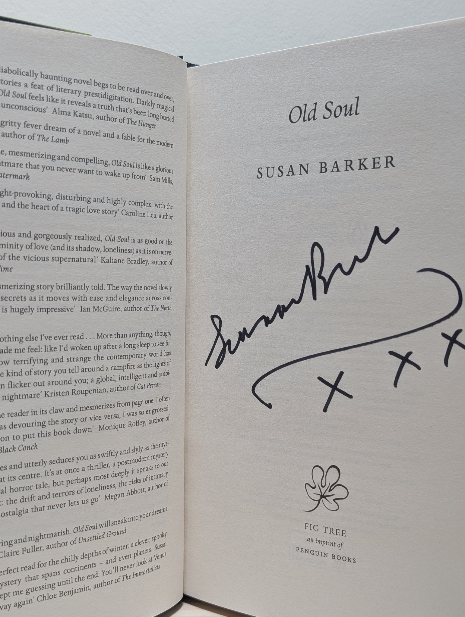 Old Soul by Susan Barker (Signed First Edition) - Fialta Books