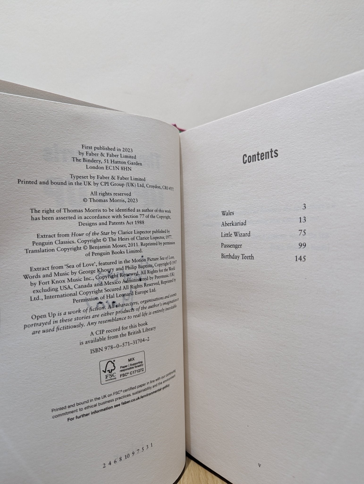 Open Up by Thomas Morris (Signed First Edition) - Fialta Books