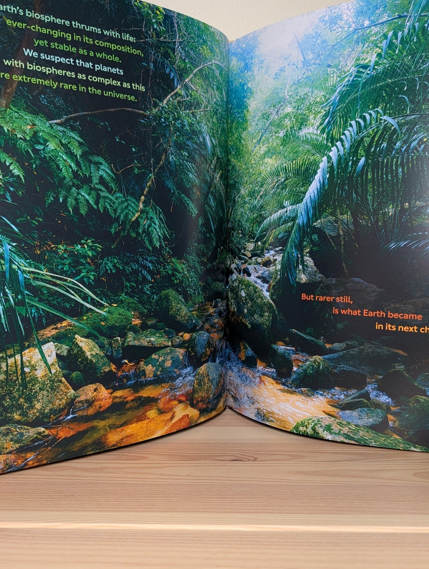 Our Story by Colin Butfield (Signed Dated First Edition) - Fialta Books