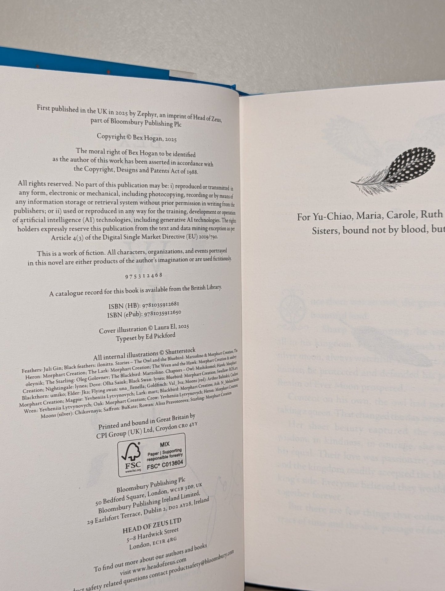 Owl King by Bex Hogan (Signed First Edition with sprayed edges) - Fialta Books