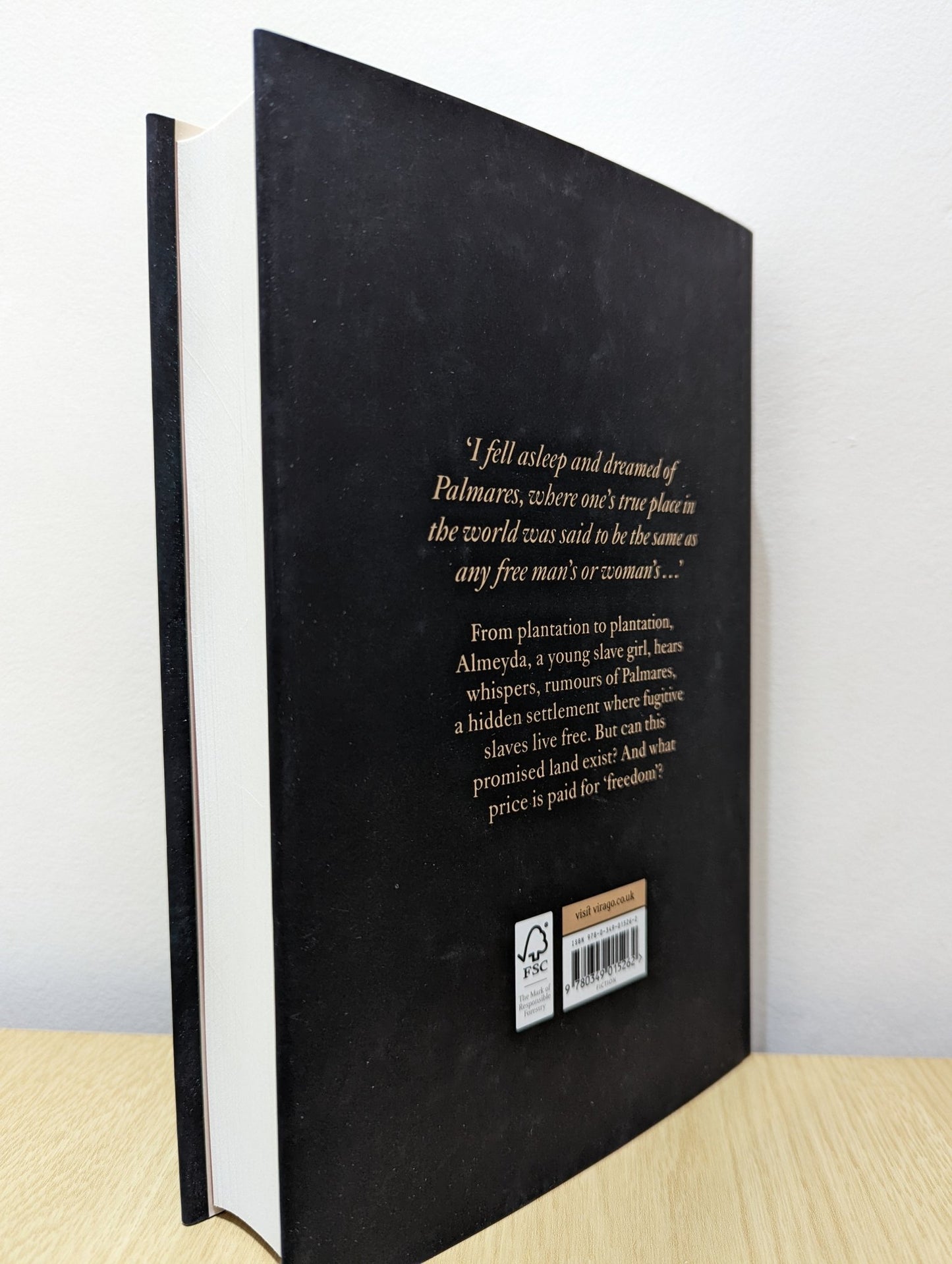 Palmares by Gayl Jones (First Edition) - Fialta Books