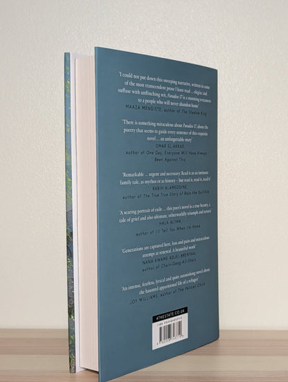 Paradiso 17 by Hannah Lillith Assadi (First Edition) - Fialta Books