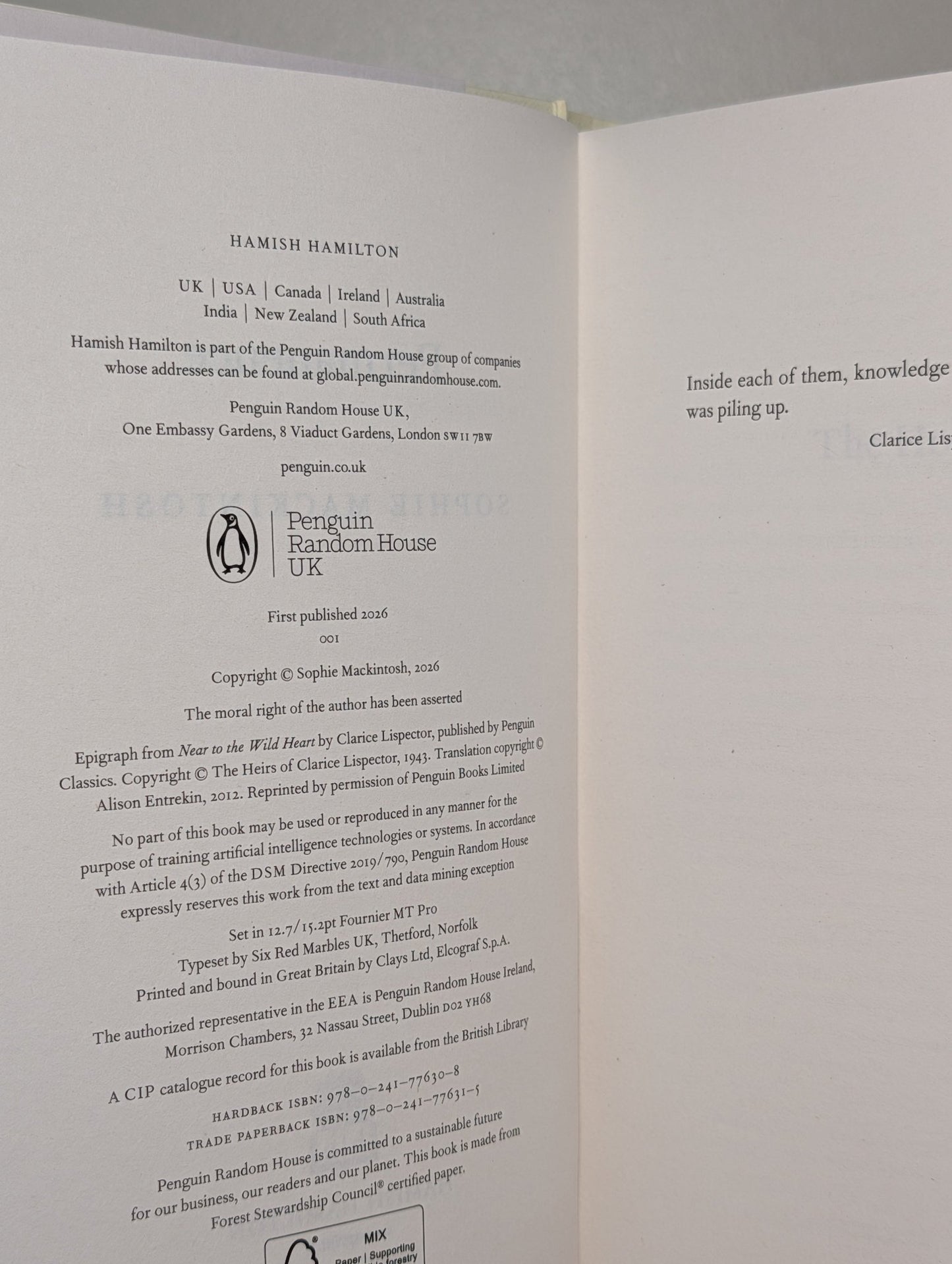 Permanence by Sophie Mackintosh (Signed First Edition) - Fialta Books