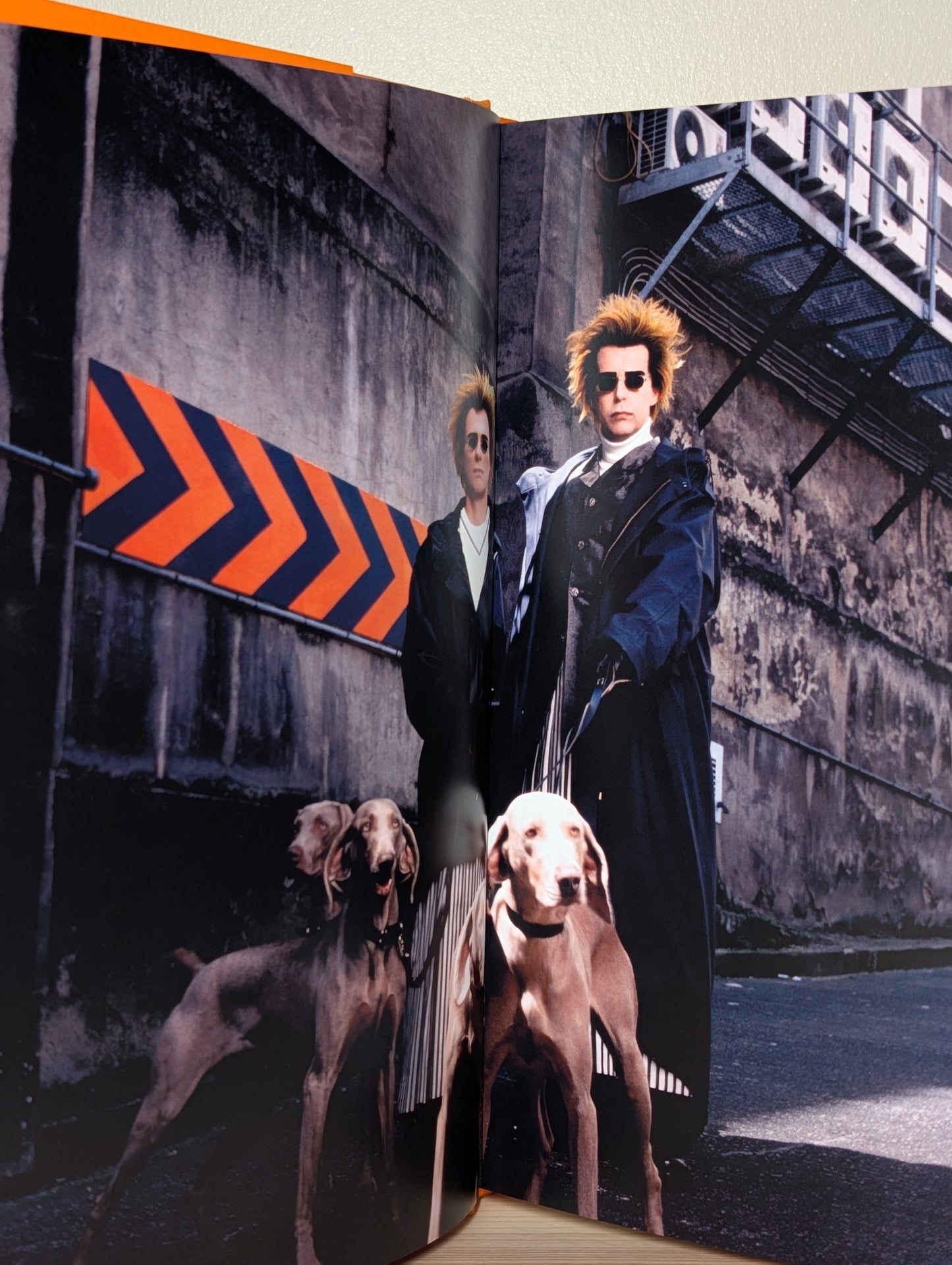 Pet Shop Boys Volume: The complete visual record (Double Signed First Edition) - Fialta Books