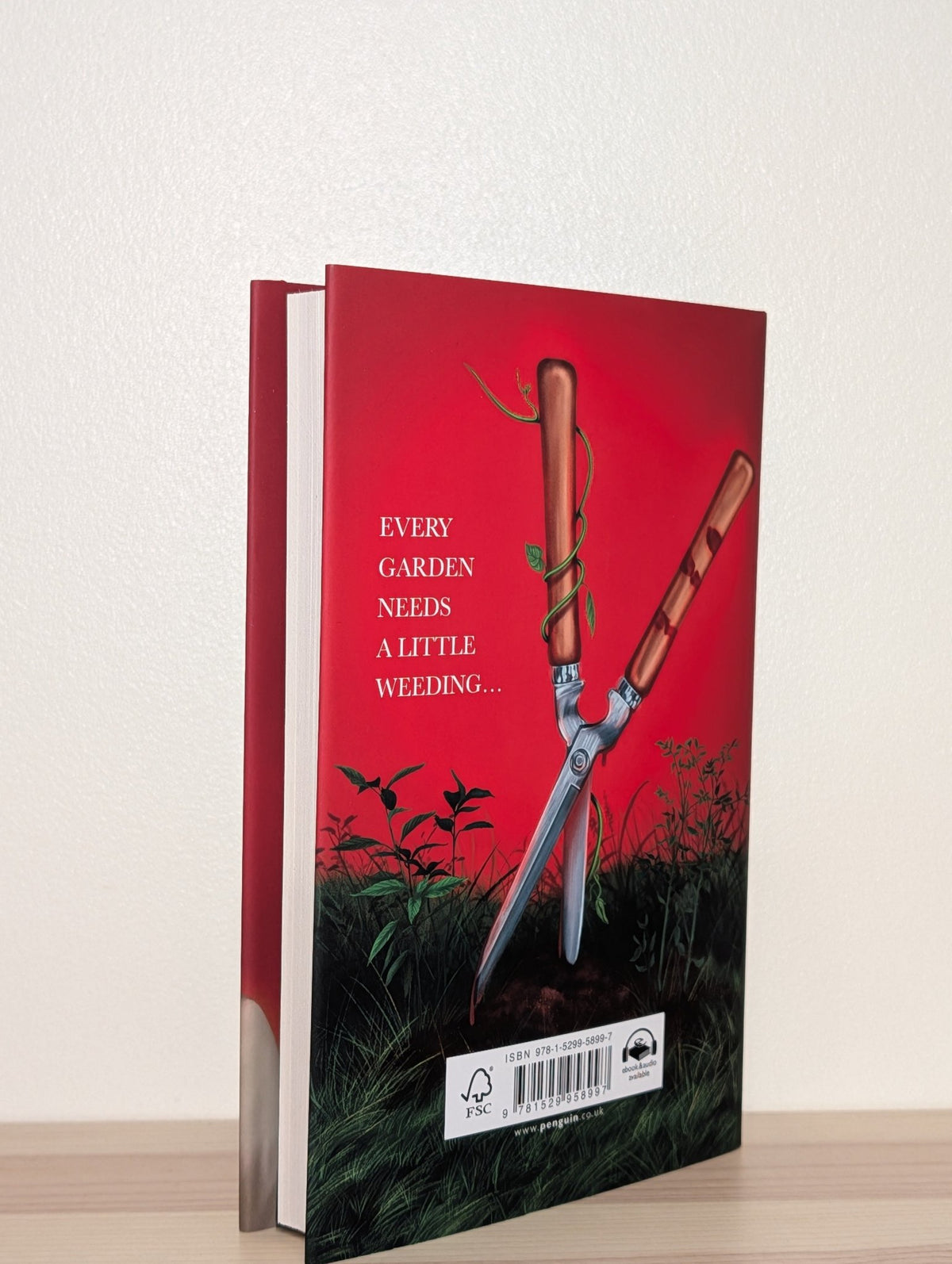 Plant Lady by Minyoung Kang (Signed First Edition) - Fialta Books