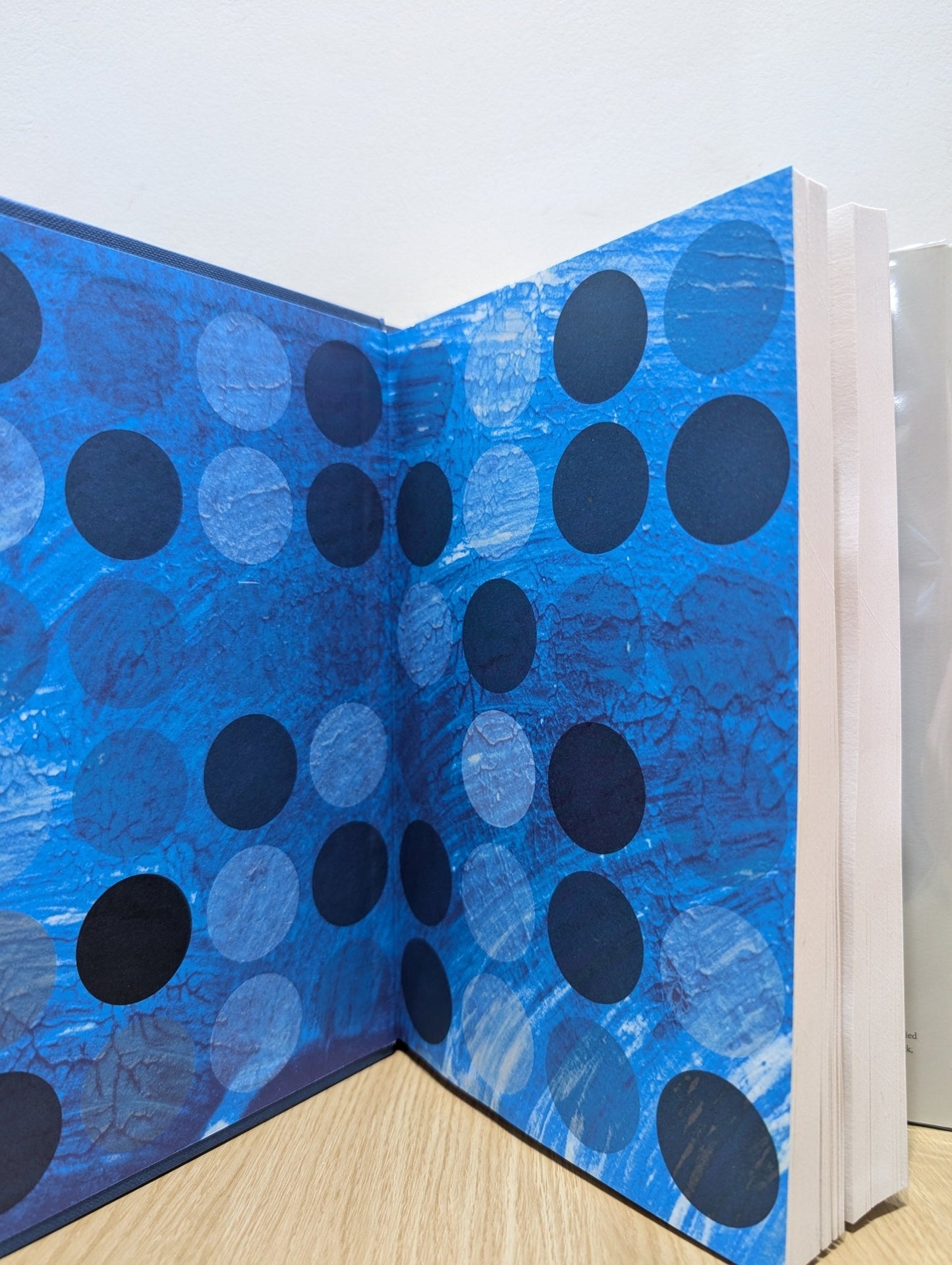 Playground by Richard Powers (Signed First Edition) - Fialta Books