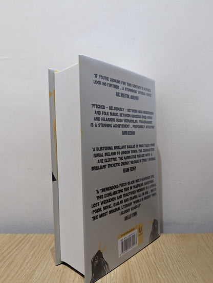 Poguemahone by Patrick McCabe (Signed First Edition) - Fialta Books