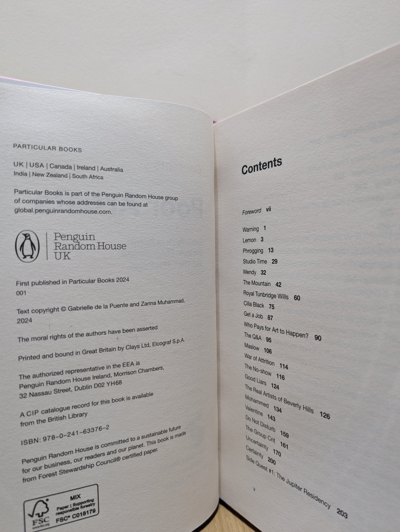 Poor Artists by The White Pube (Signed First Edition) - Fialta Books