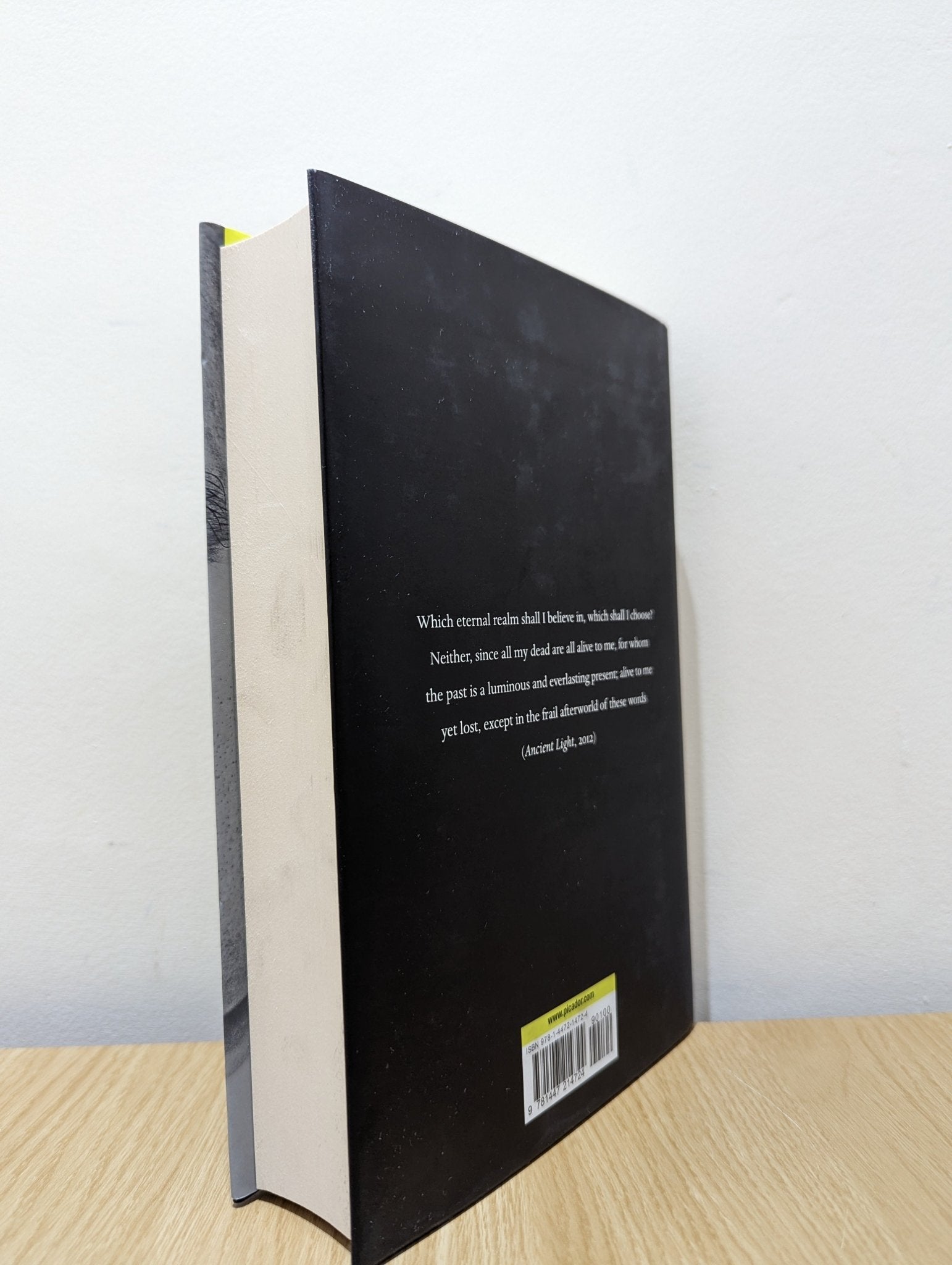 Possessed of a Past: A John Banville Reader by John Banville (Signed First Edition) - Fialta Books