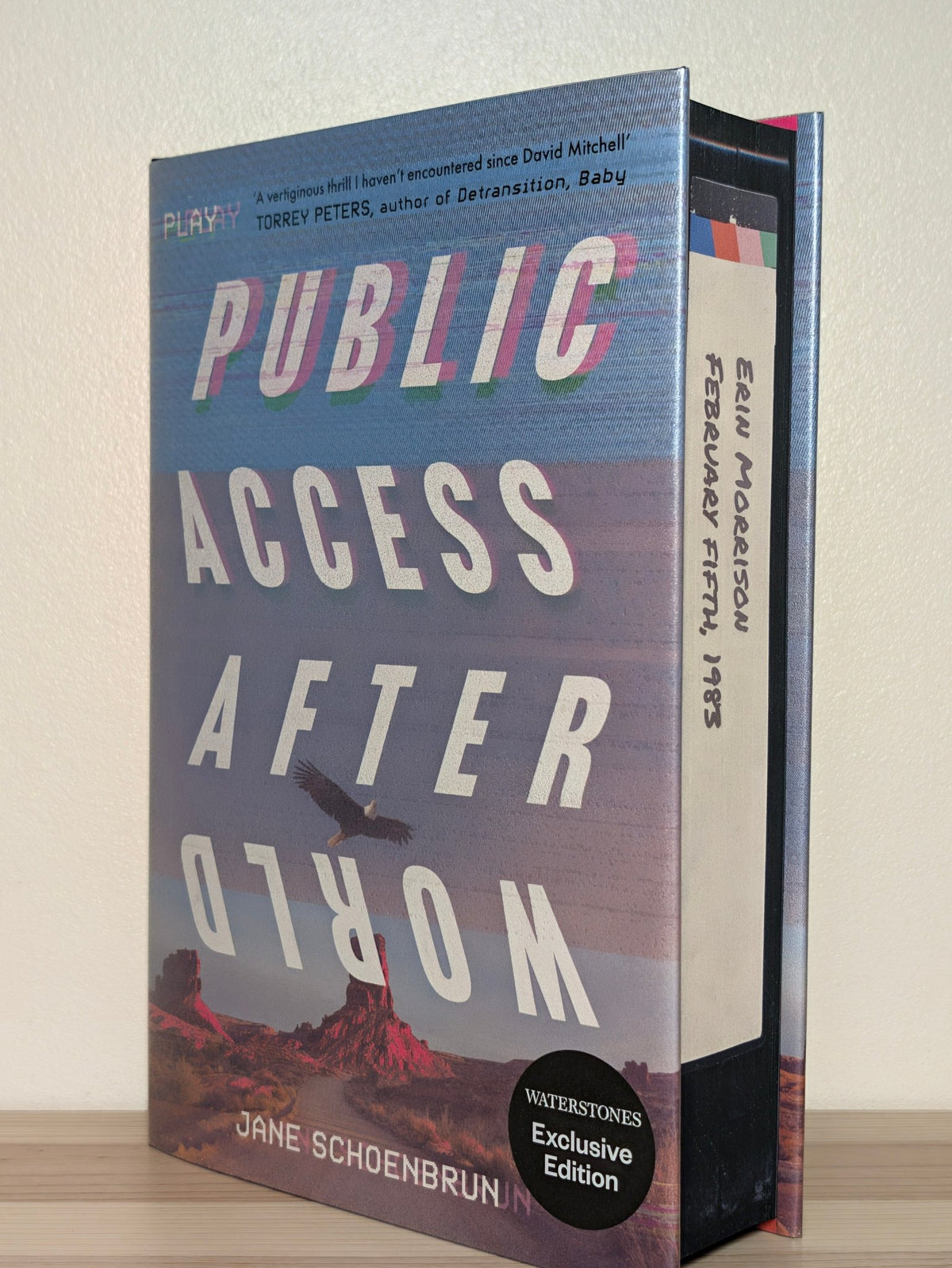 Public Access Afterworld by Jane Schoenbrun (First Edition with sprayed edges) - Fialta Books