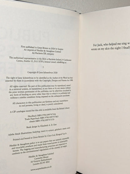 Public Access Afterworld by Jane Schoenbrun (First Edition with sprayed edges) - Fialta Books
