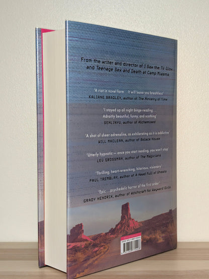 Public Access Afterworld by Jane Schoenbrun (Signed Numbered First Edition) - Fialta Books
