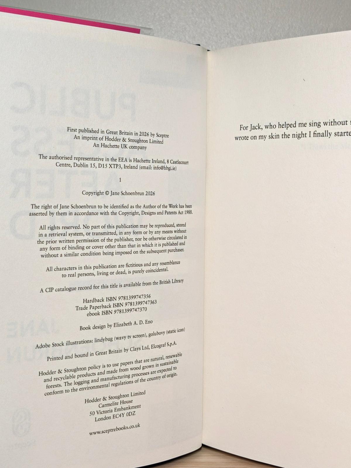 Public Access Afterworld by Jane Schoenbrun (Signed Numbered First Edition) - Fialta Books