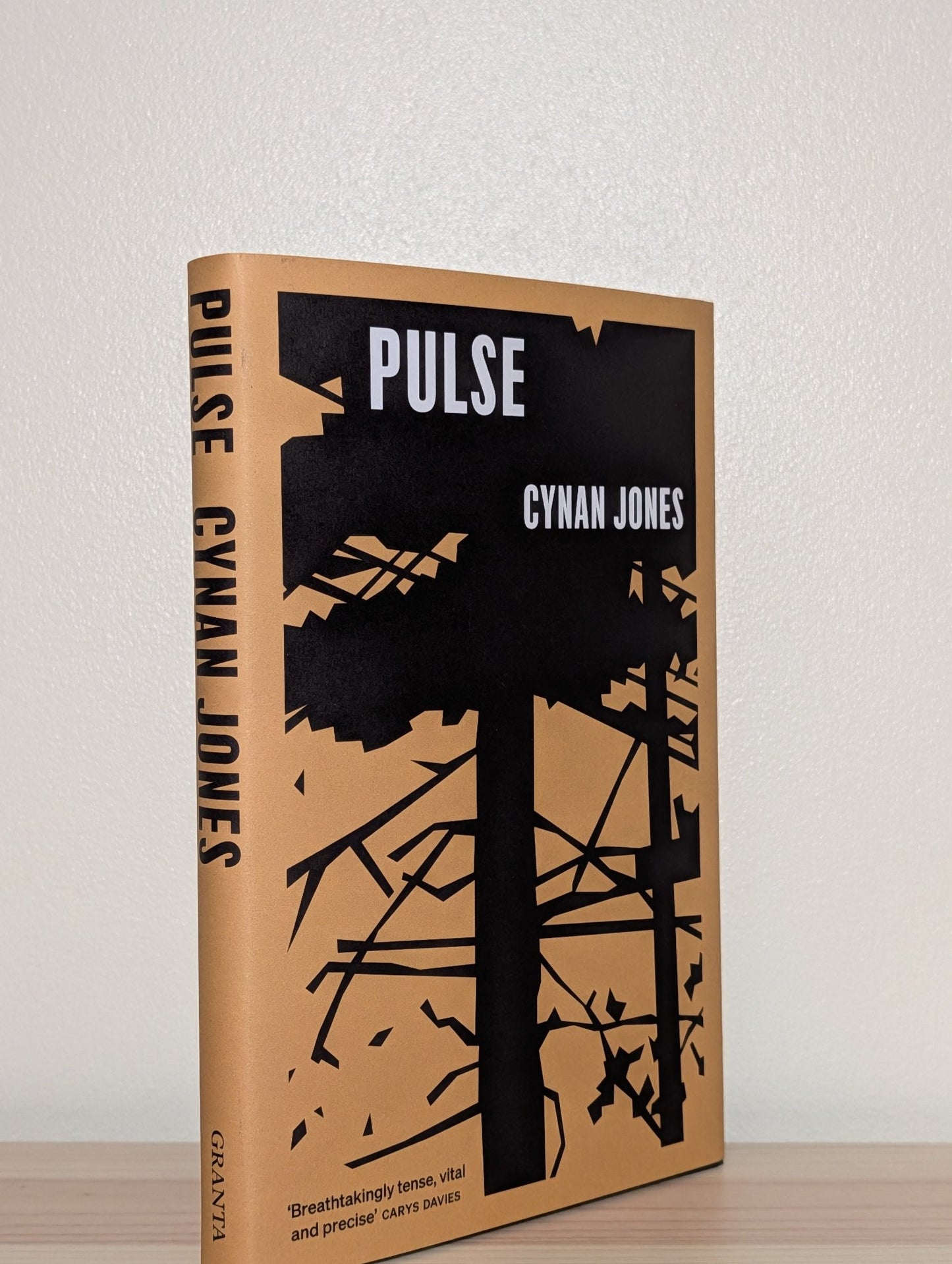 Pulse by Cynan Jones (First Edition) - Fialta Books