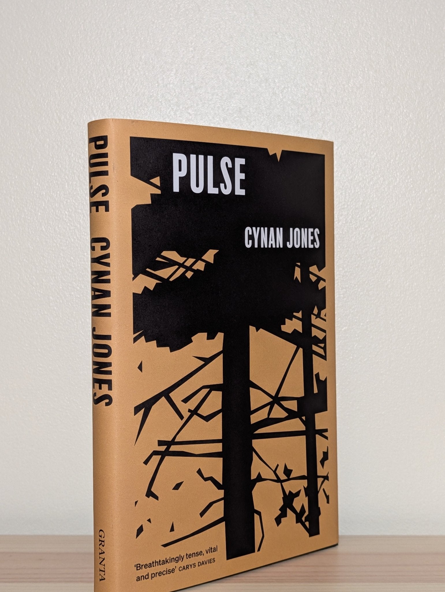 Pulse by Cynan Jones (First Edition) - Fialta Books