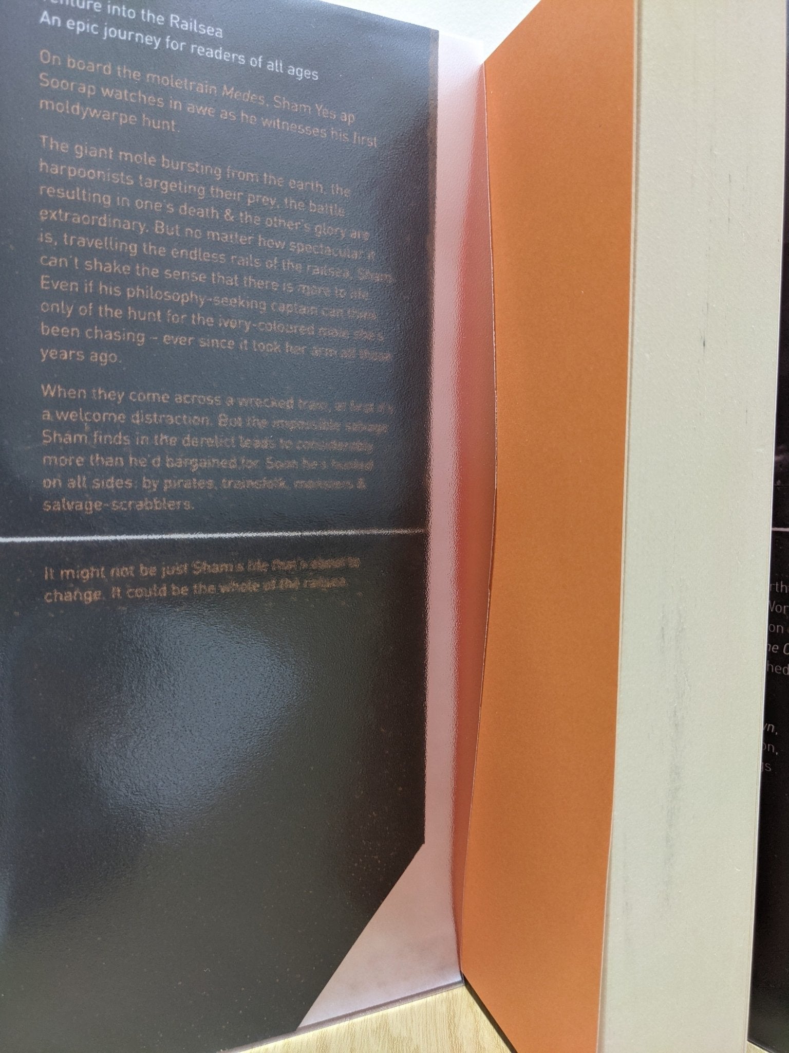 Railsea by China Mieville - Fialta Books