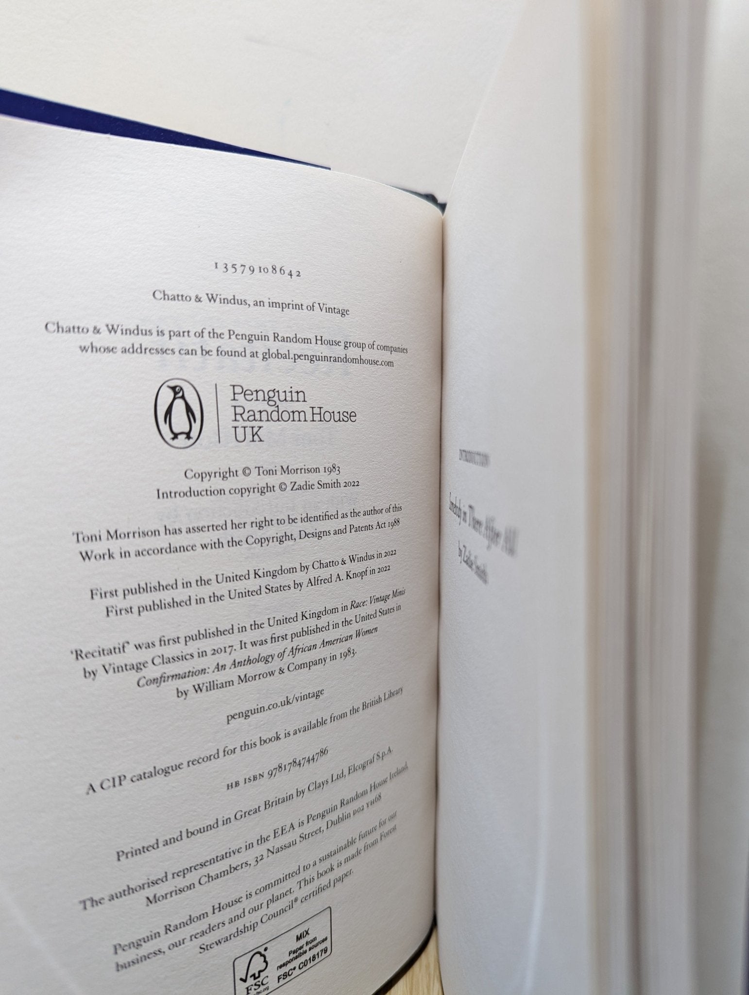 Recitatif by Toni Morrison (Special Edition) - Fialta Books