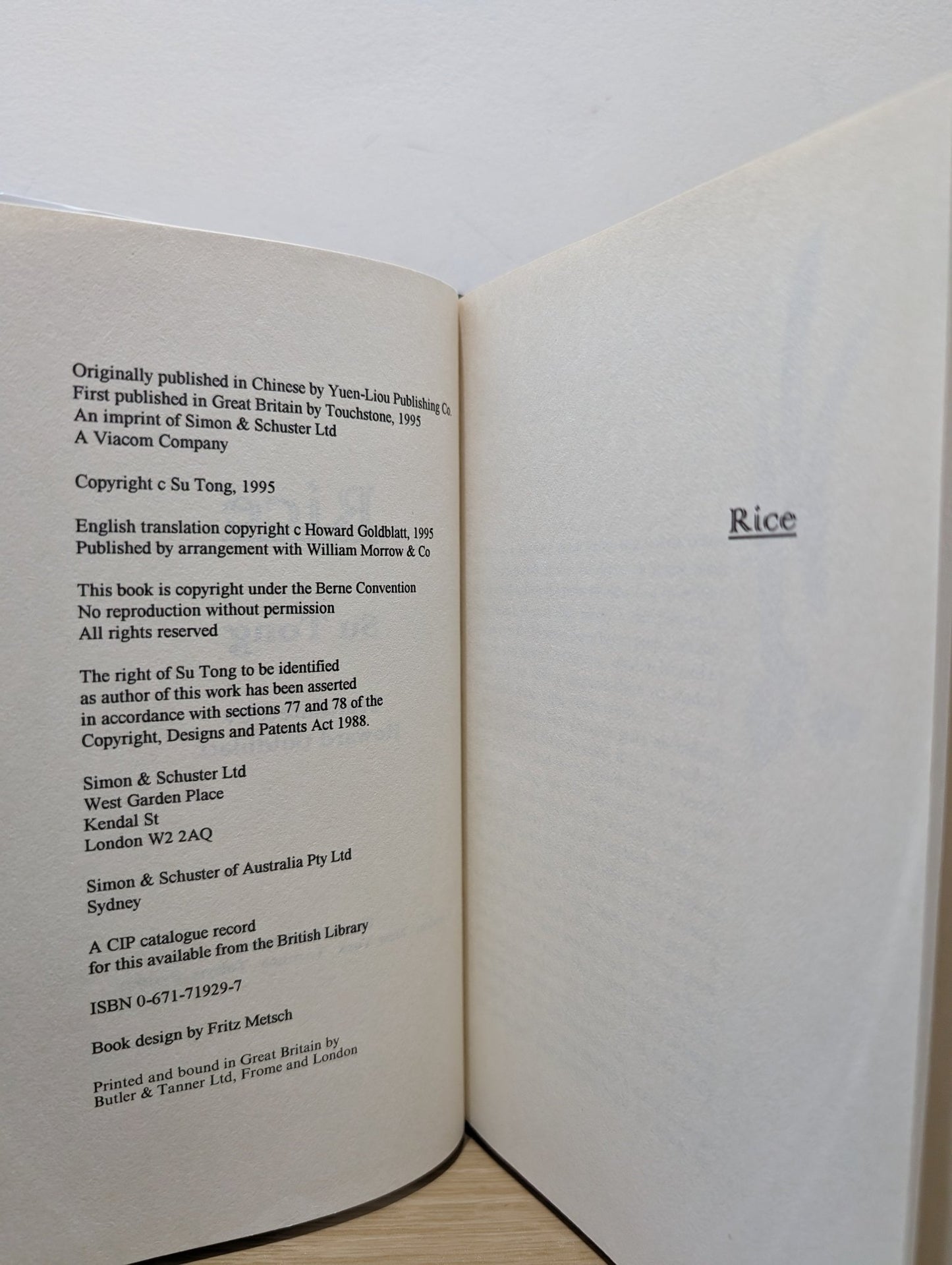 Rice by Tong Su (First Edition) - Fialta Books